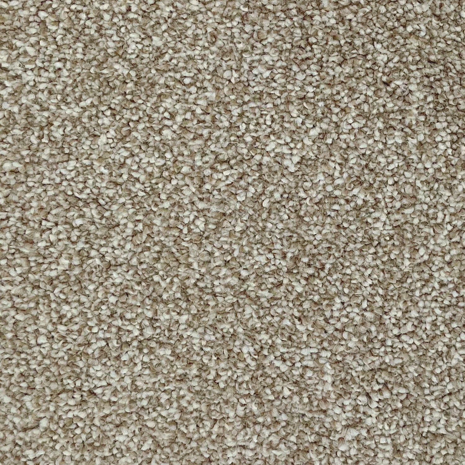 Associated Weavers Invictus Cassius Saxony Carpet