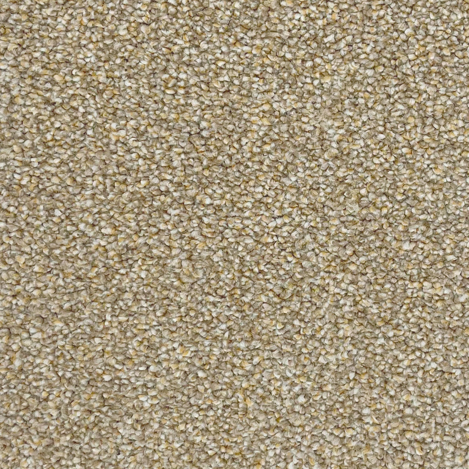 Associated Weavers Invictus Darius Saxony Carpet