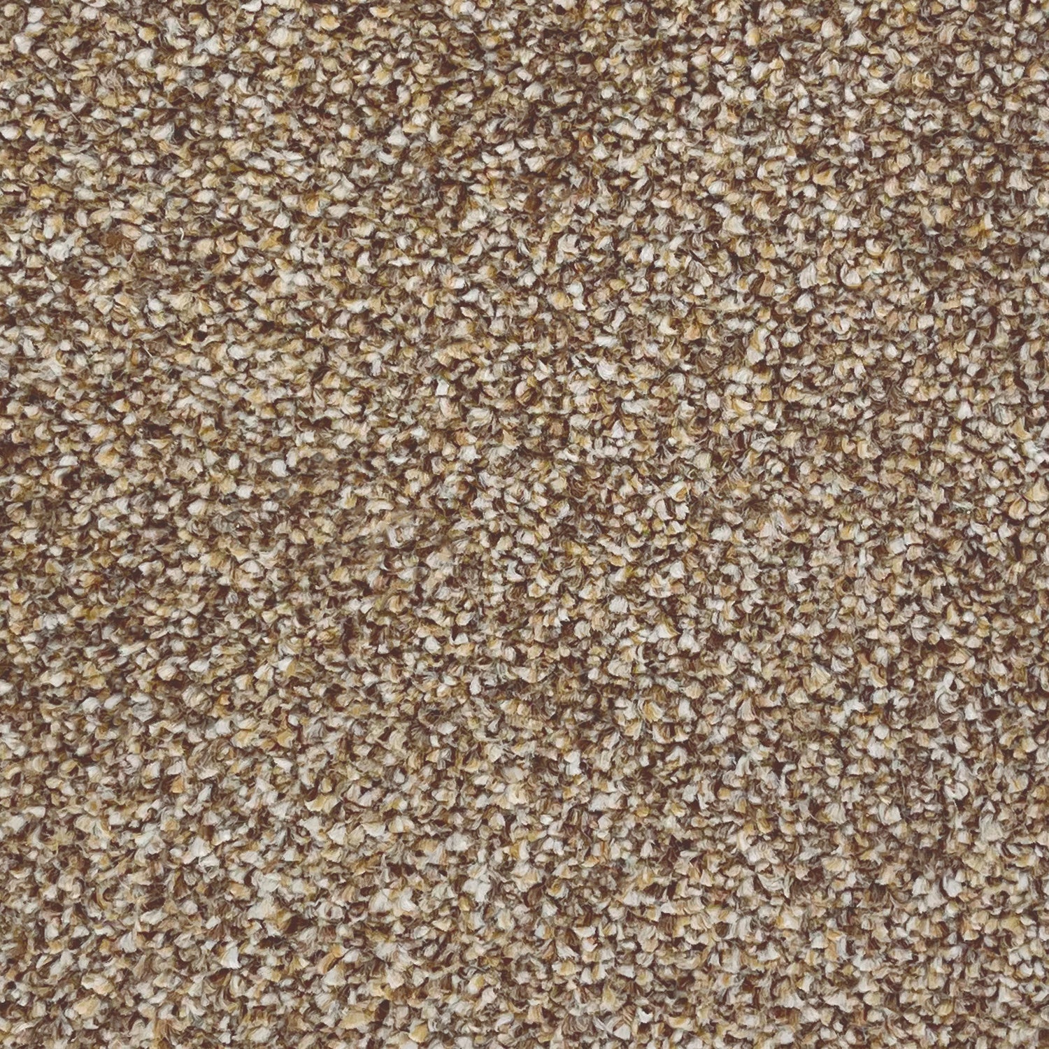 Associated Weavers Invictus Darius Saxony Carpet