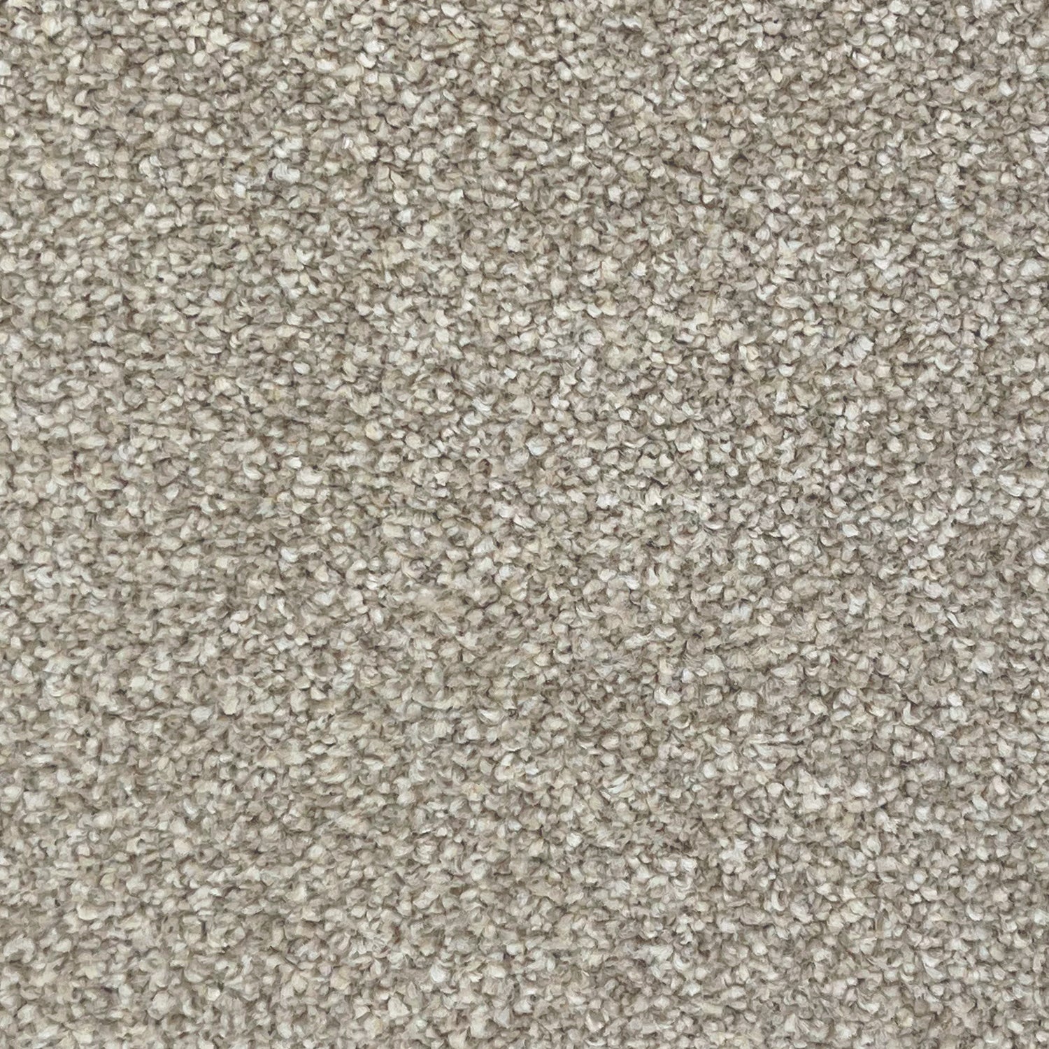 Associated Weavers Invictus Darius Saxony Carpet
