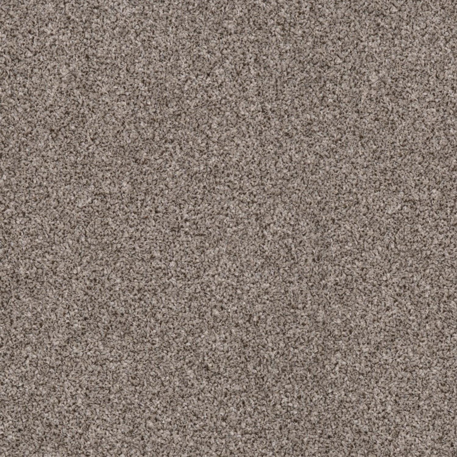 Associated Weavers Holmfirth Frisé Twist Carpet