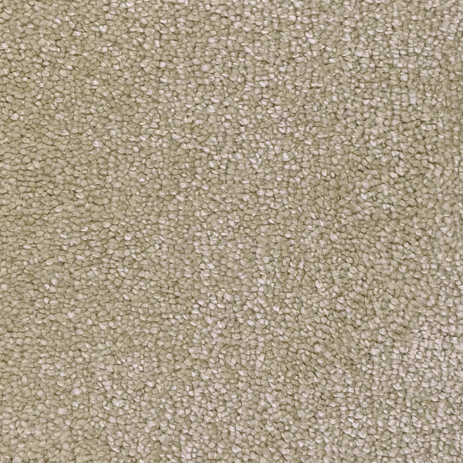 Associated Weavers Invictus Magnificus Saxony Carpet