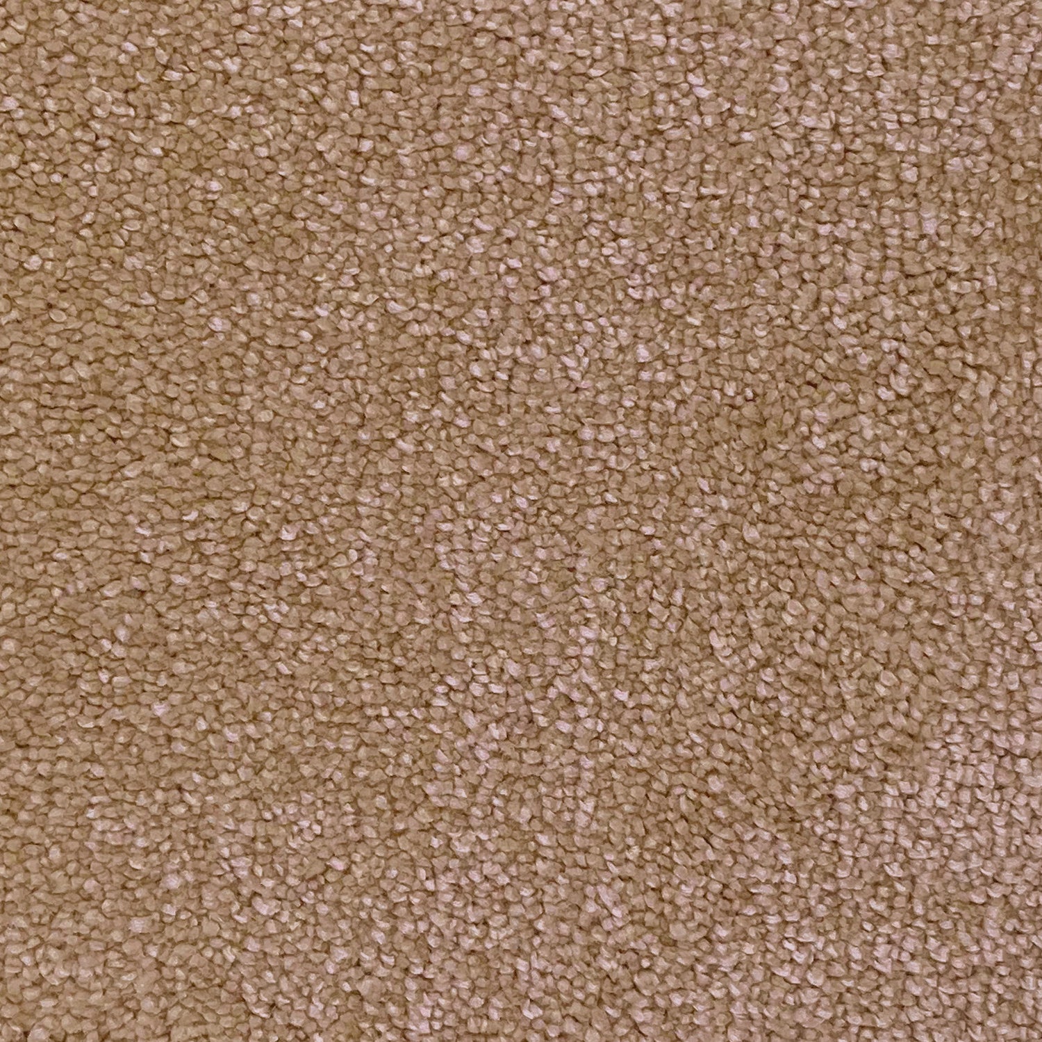 Associated Weavers Invictus Magnificus Saxony Carpet