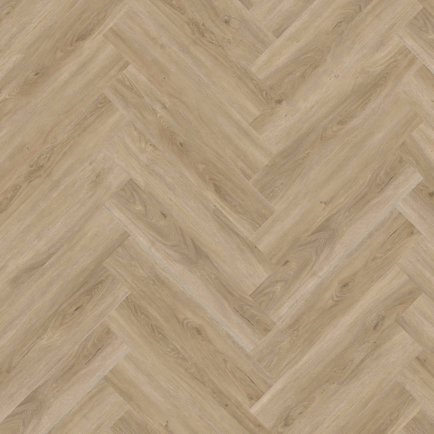 Invictus Maximus Click LVT Flooring in Divine Oak Champagne Parquet - 1.509m2 Full Pack