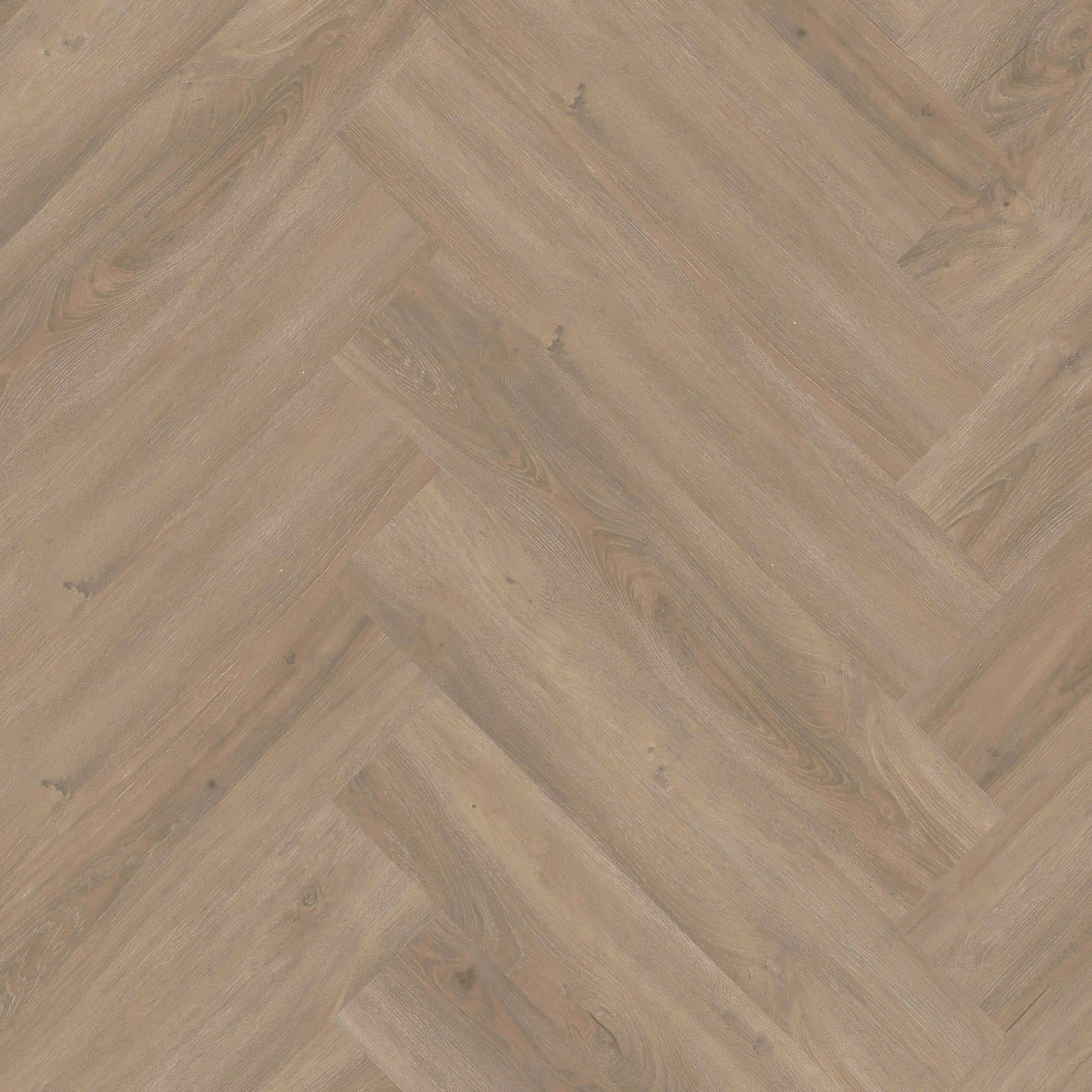 Invictus Maximus Gluedown LVT Flooring in Divine Oak Cookie Herringbone - 3.37m2 Full Pack