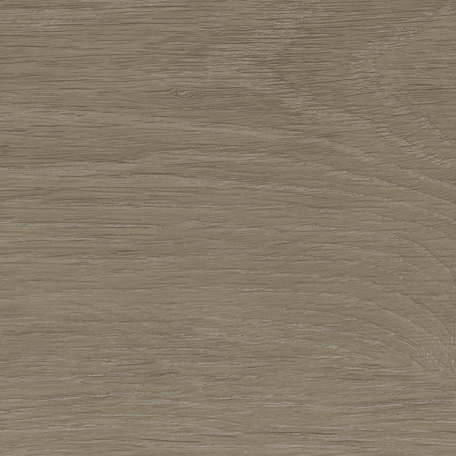 Invictus Maximus Gluedown LVT Flooring in Elegant Oak Tan - 3.25m2 Full Pack