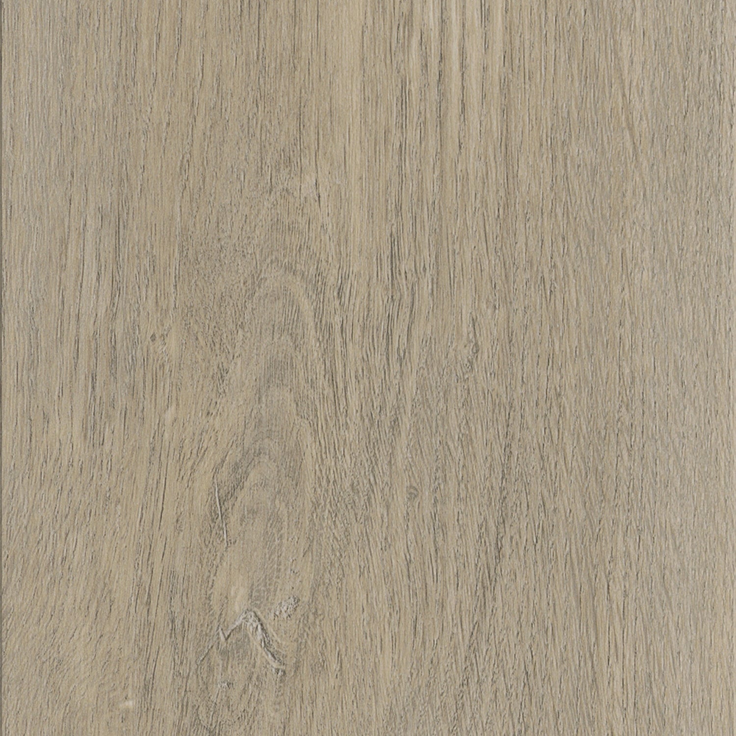 Invictus Maximus Gluedown LVT Flooring in New England Oak Sand - 3.25m2 Full Pack