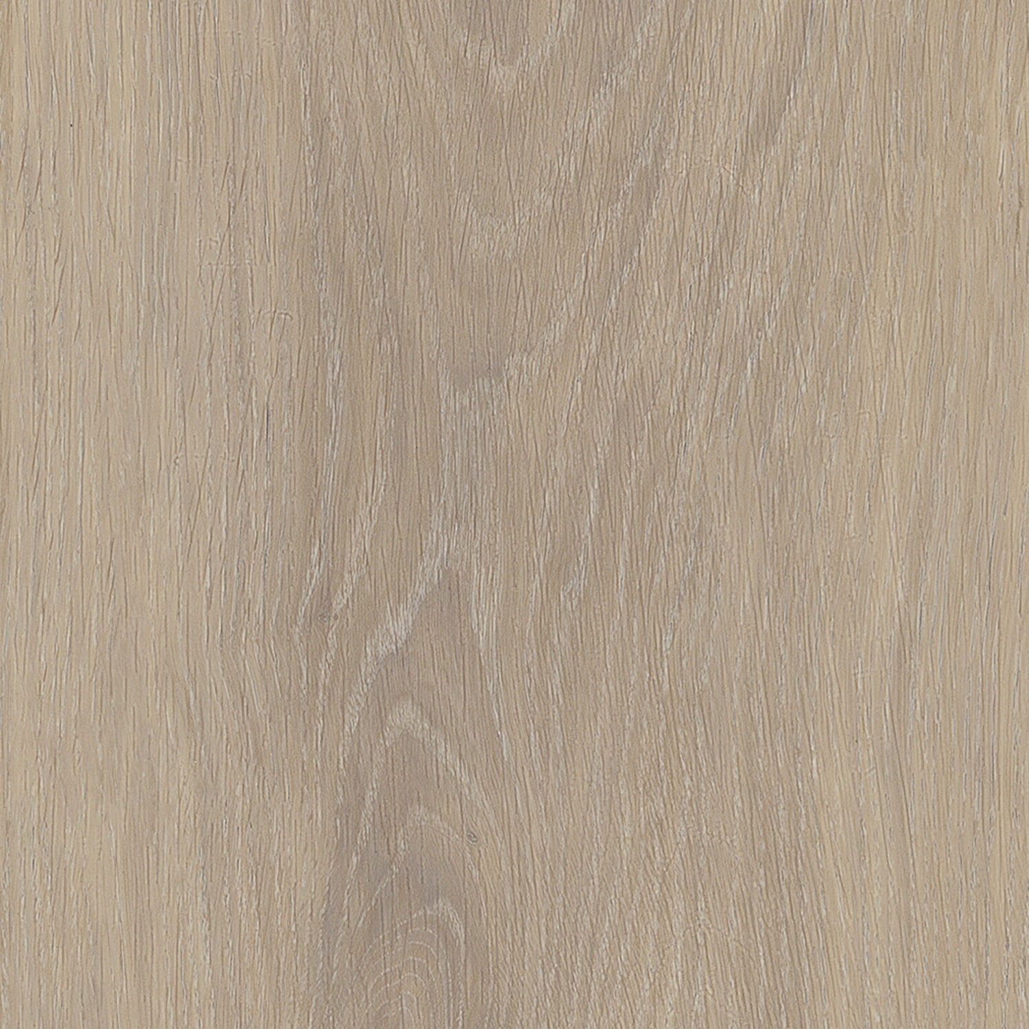 Invictus Maximus Gluedown LVT Flooring in Silk Oak Latte - 3.34m2 Full Pack