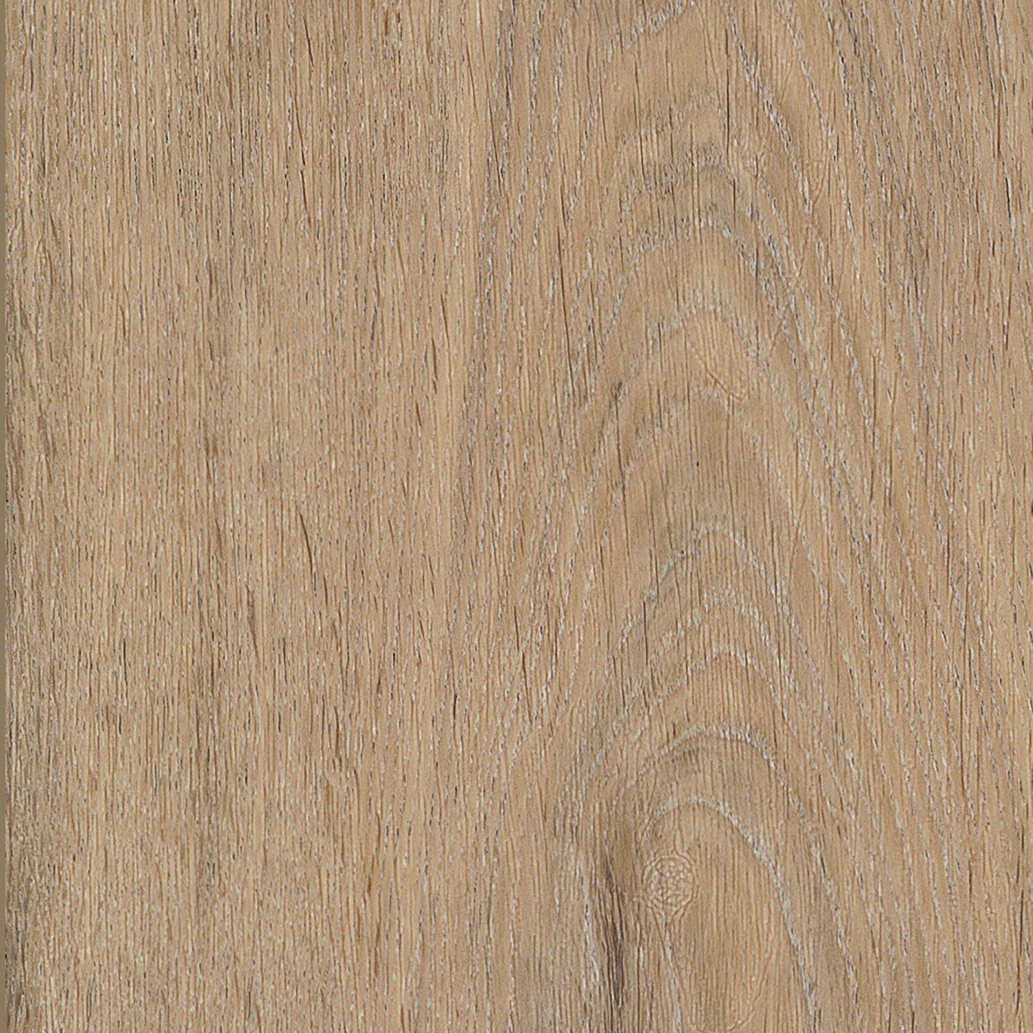 Invictus Maximus Gluedown LVT Flooring in Silk Oak Oat Wood Effect - 3.34m2 Full Pack
