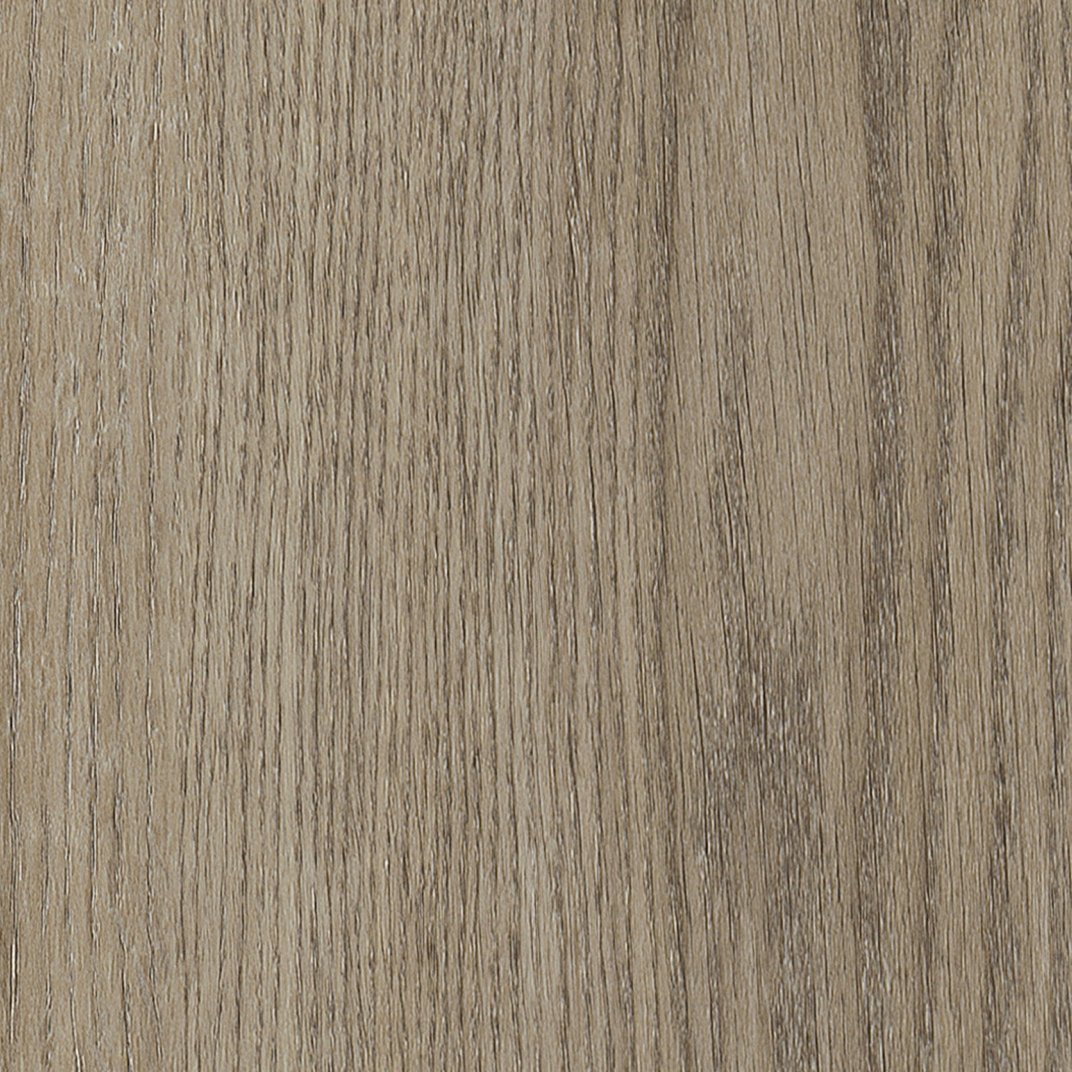 Invictus Primus Gluedown LVT Flooring in Sherwood Oak Mink - 3.69m2 Full Pack