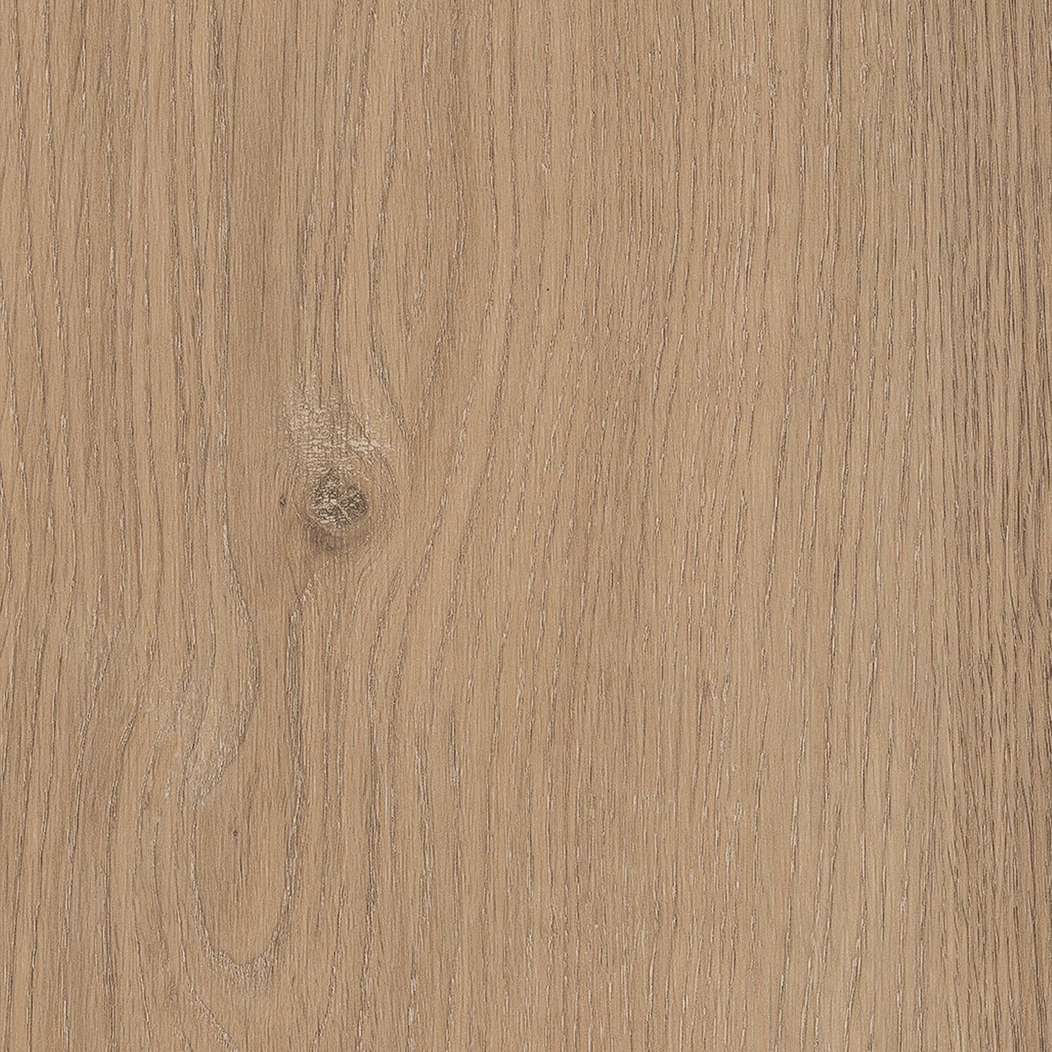 Invictus Primus Gluedown LVT Flooring in Sherwood Oak Natural - 3.69m2 Full Pack