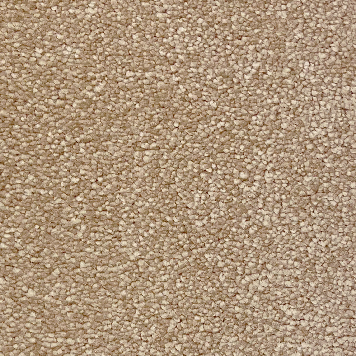 Associated Weavers Invictus Sirius Saxony Carpet