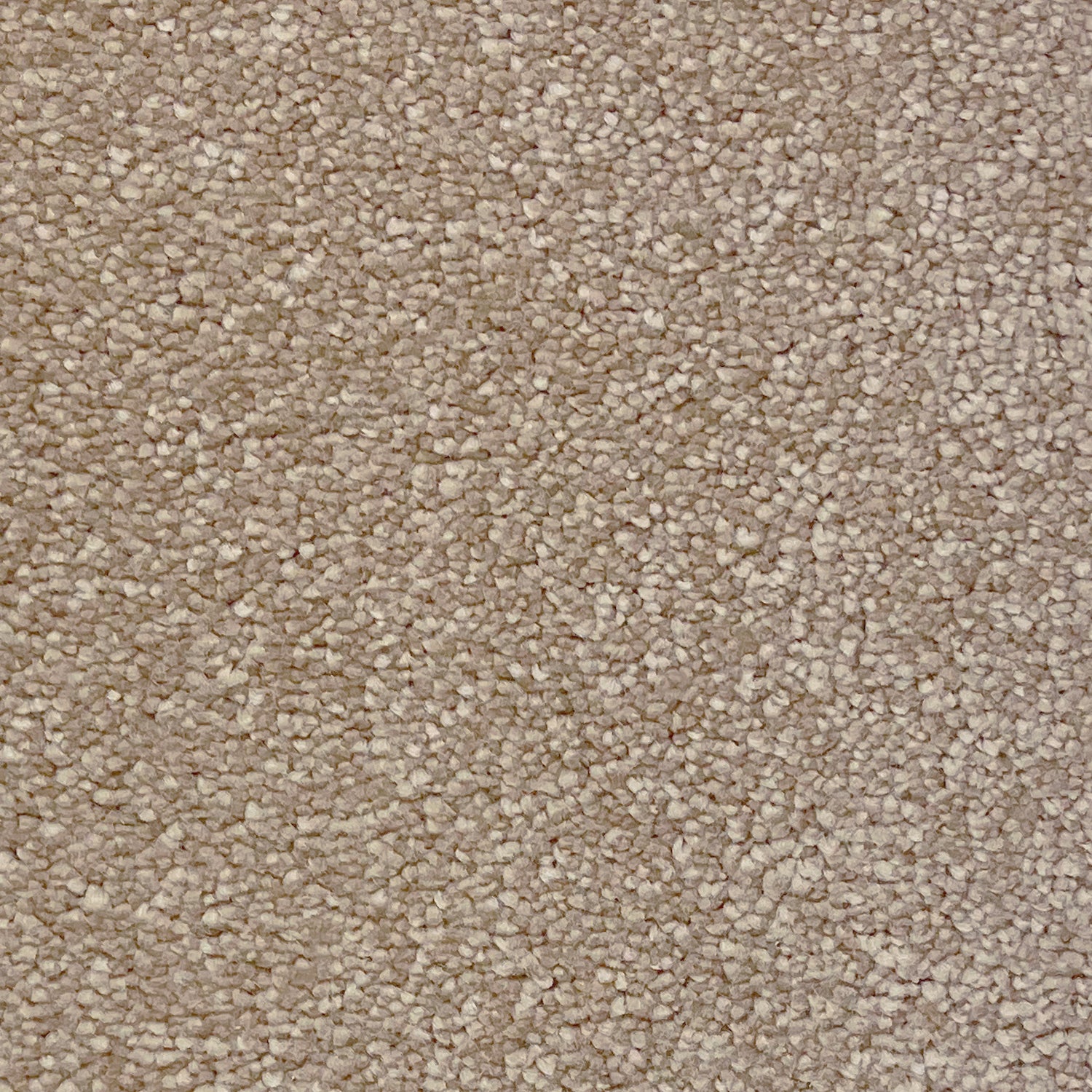 Associated Weavers Invictus Sirius Saxony Carpet