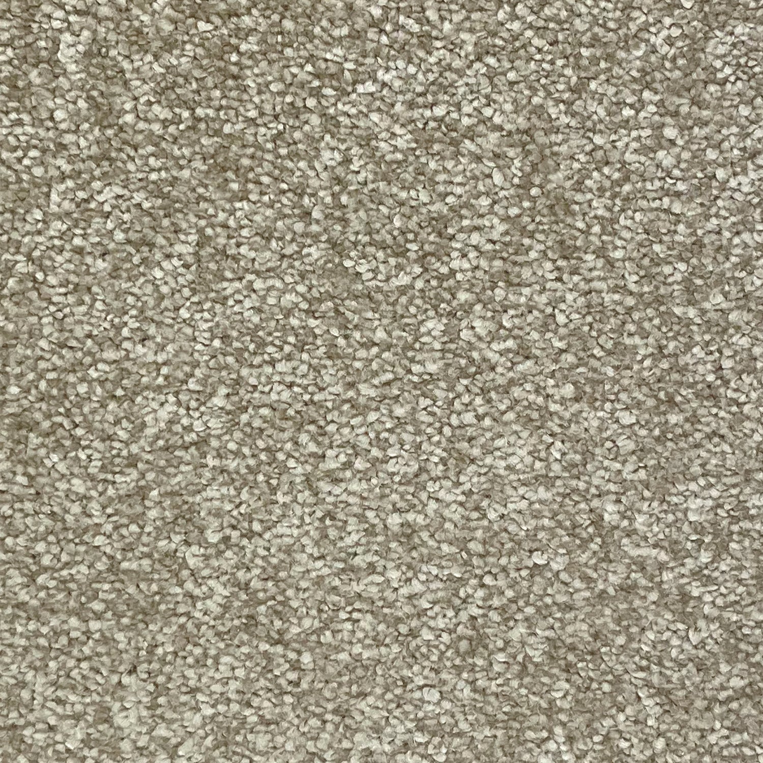 Associated Weavers Invictus Tiberius Frisé Twist Carpet