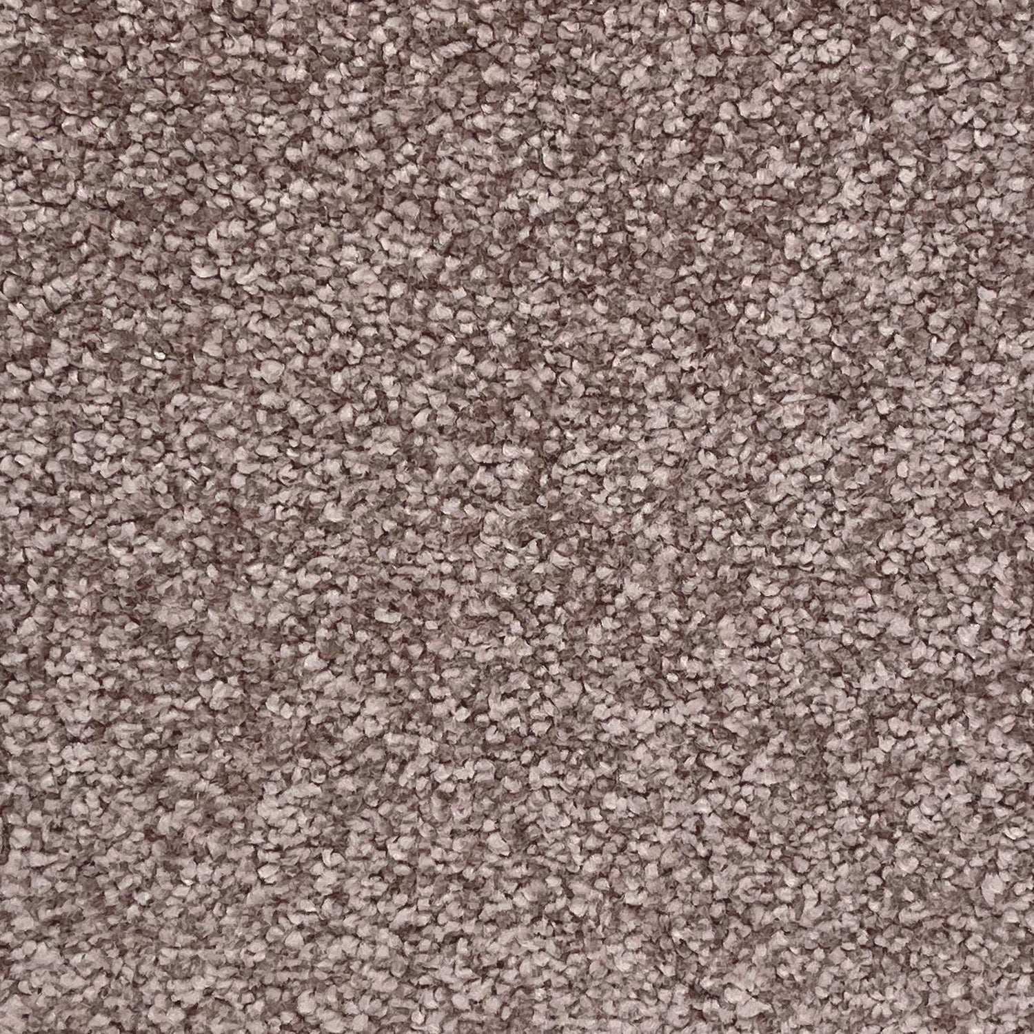 Associated Weavers Invictus Tiberius Frisé Twist Carpet