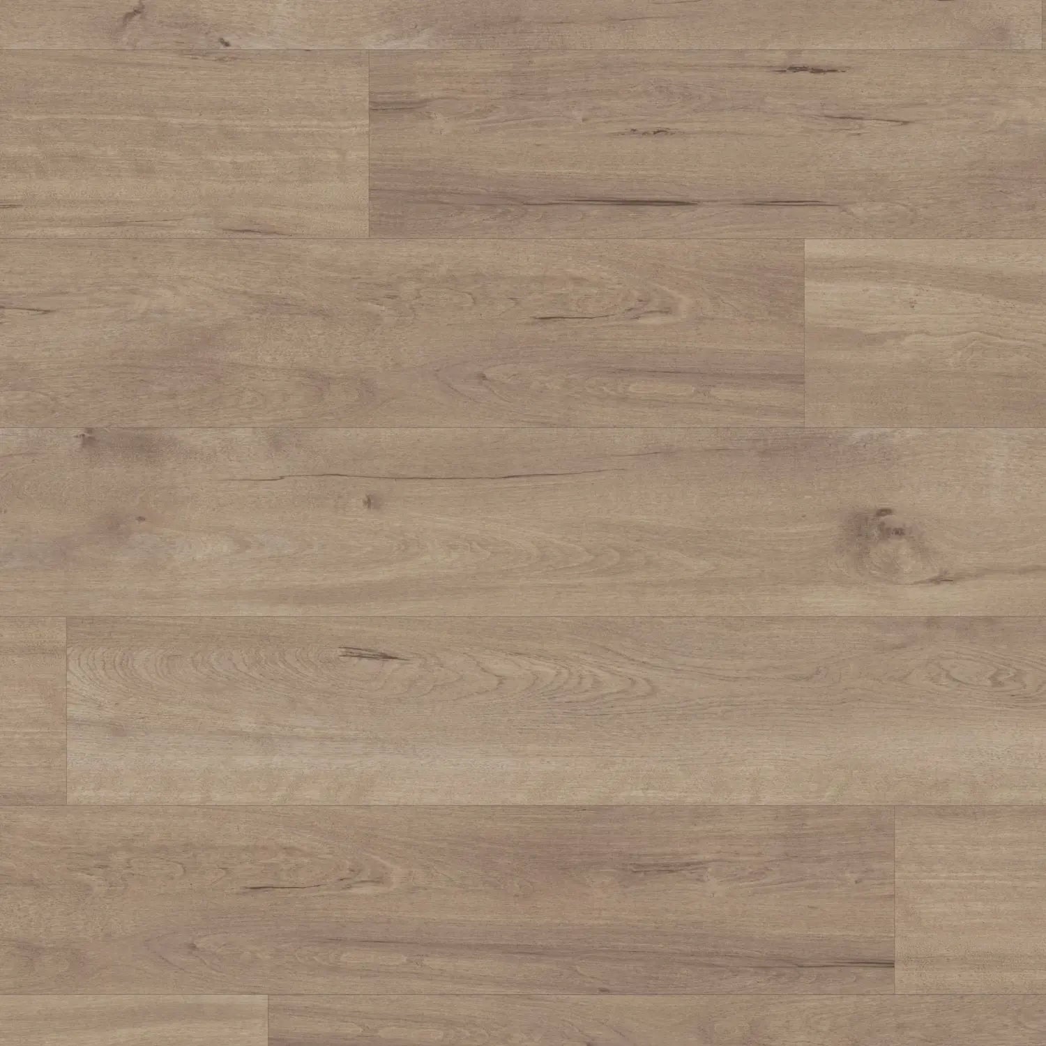 Karndean Van Gogh Gluedown LVT Flooring in Frosted Birch VGW83T - 3.25m2 Full Pack