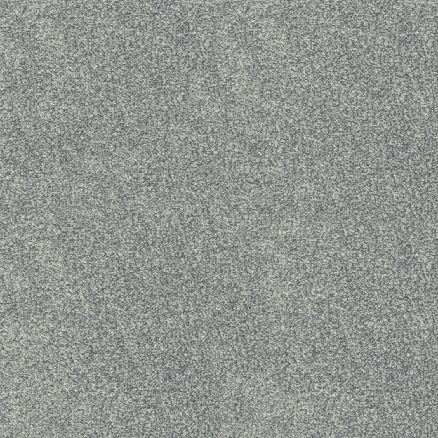 Kingsmead Awesome (Silver) Twist Carpet