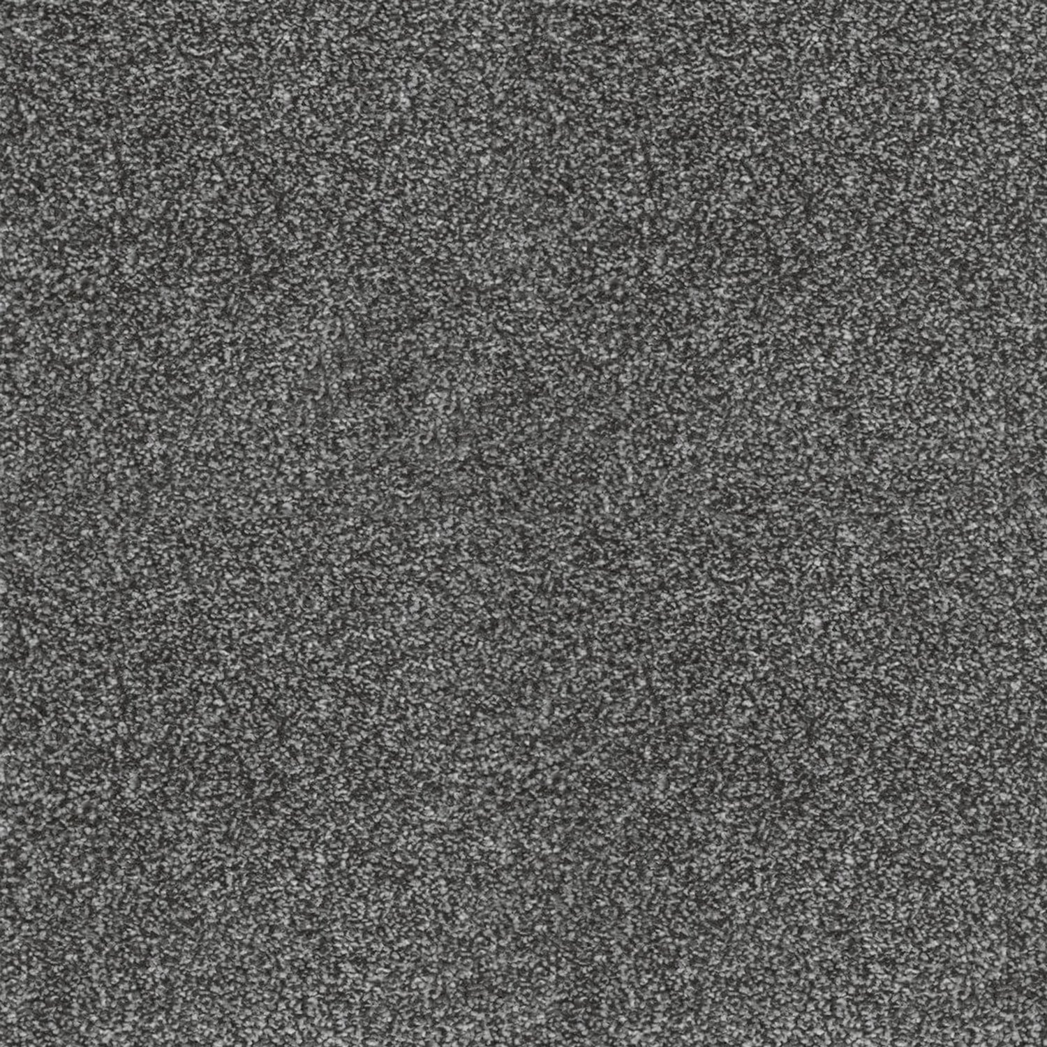 Kingsmead Awesome (Silver) Twist Carpet