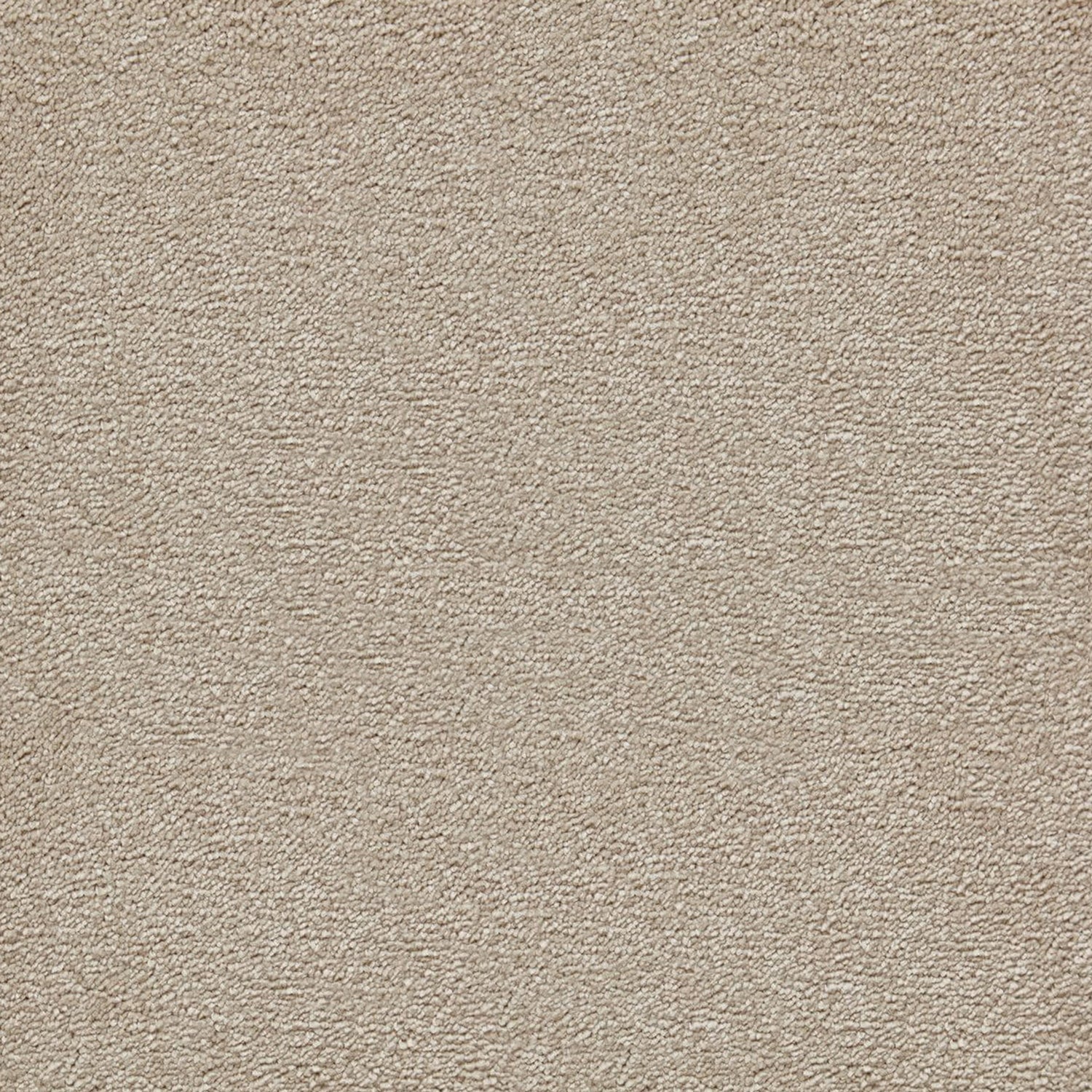 Kingsmead Bliss Saxony Carpet
