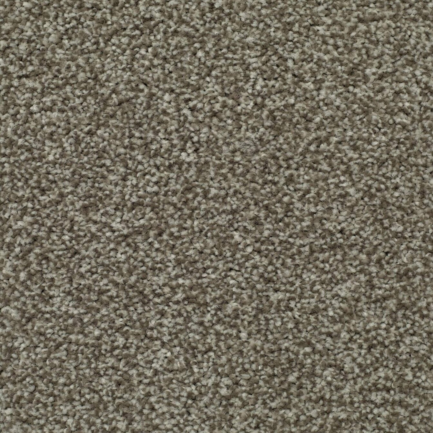 Kingsmead Devotion Silver Twist Carpet