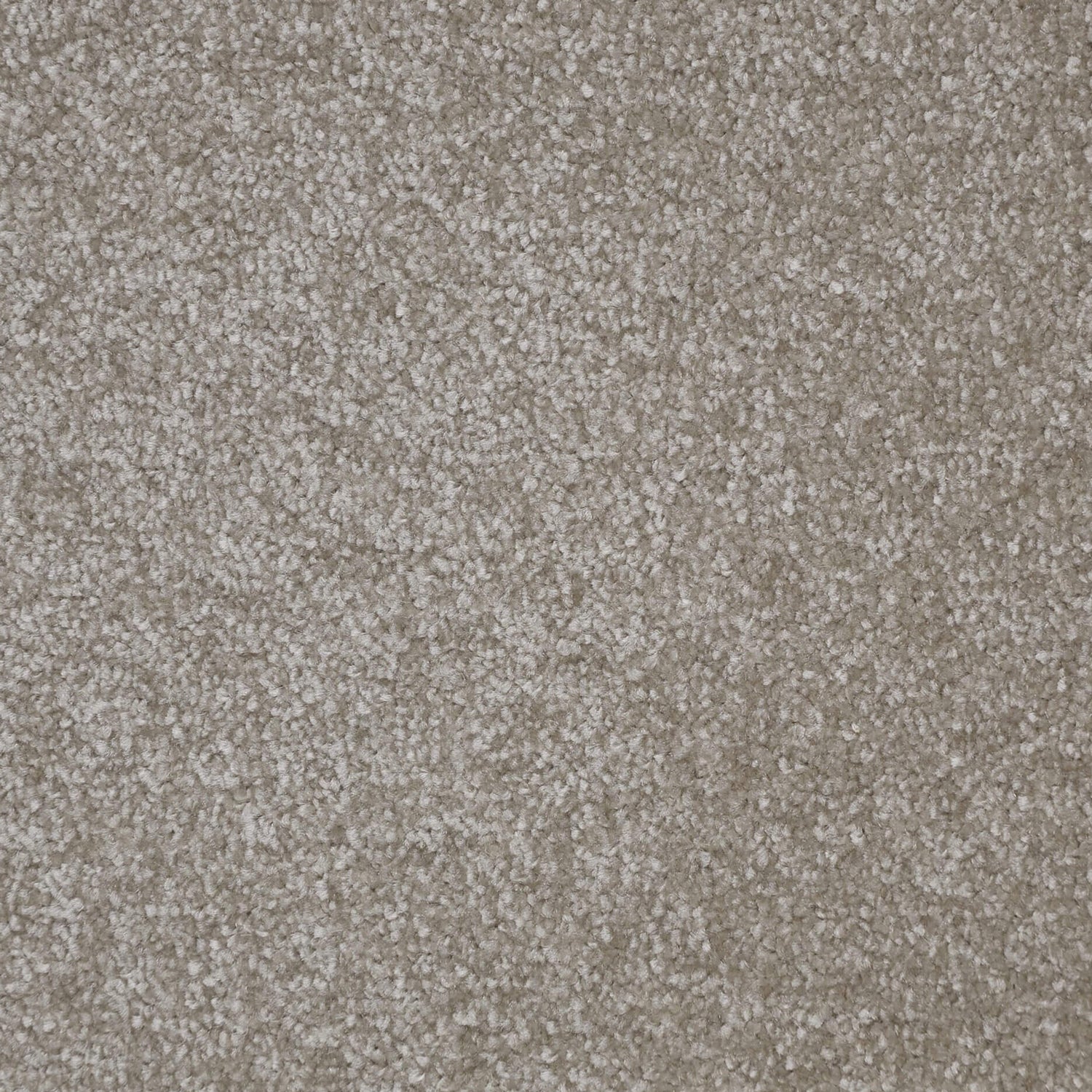 Kingsmead Fantastic Standard Twist Carpet