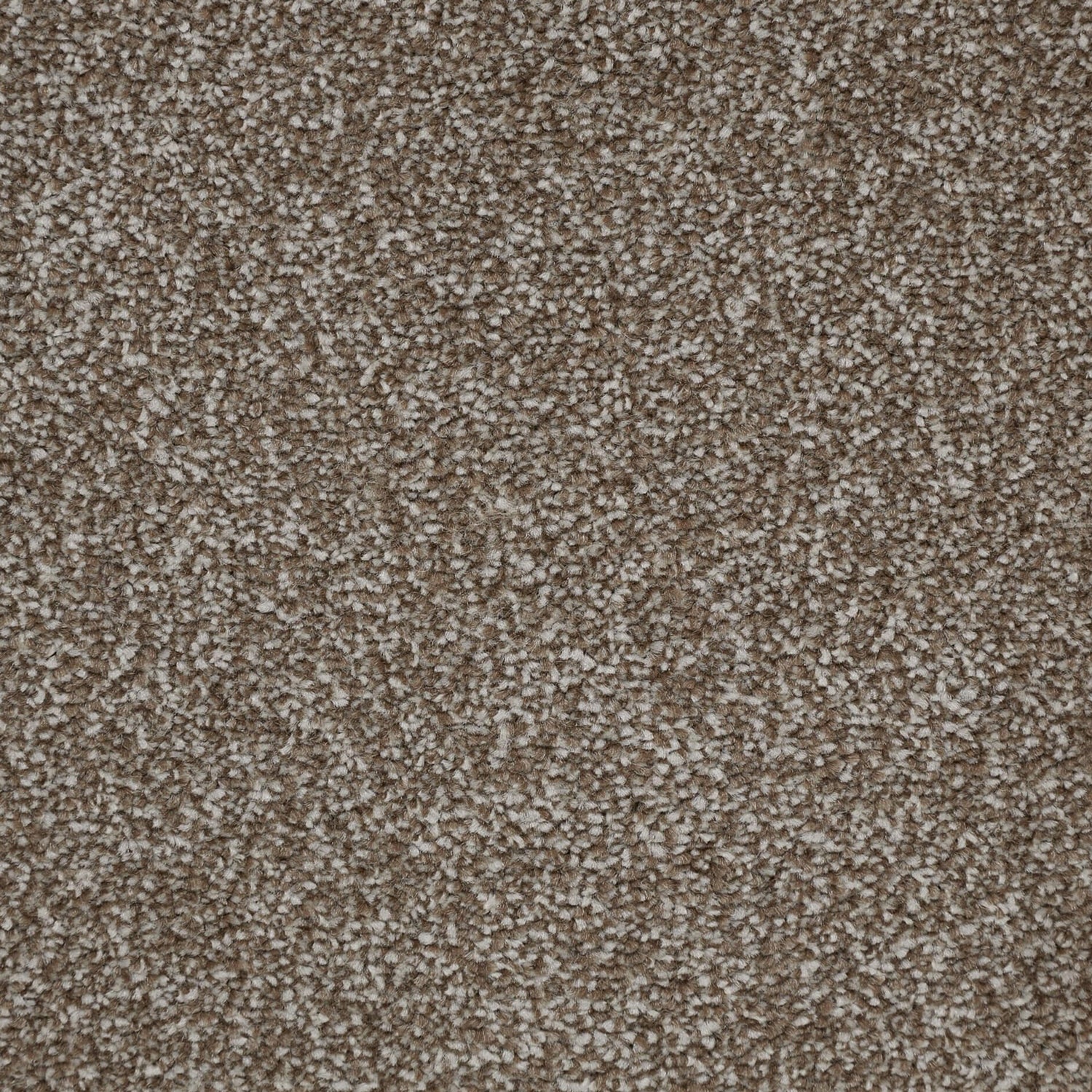 Kingsmead Fantastic Standard Twist Carpet