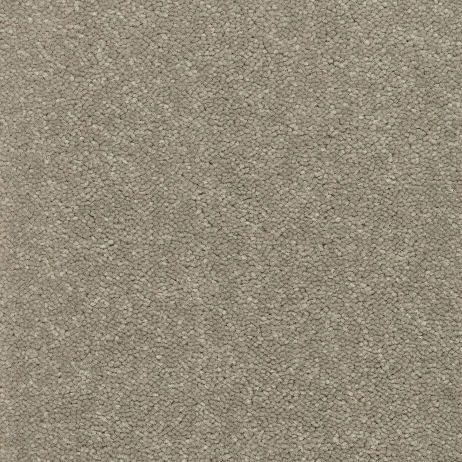 Kingsmead Tranquility (Silver) Twist Carpet