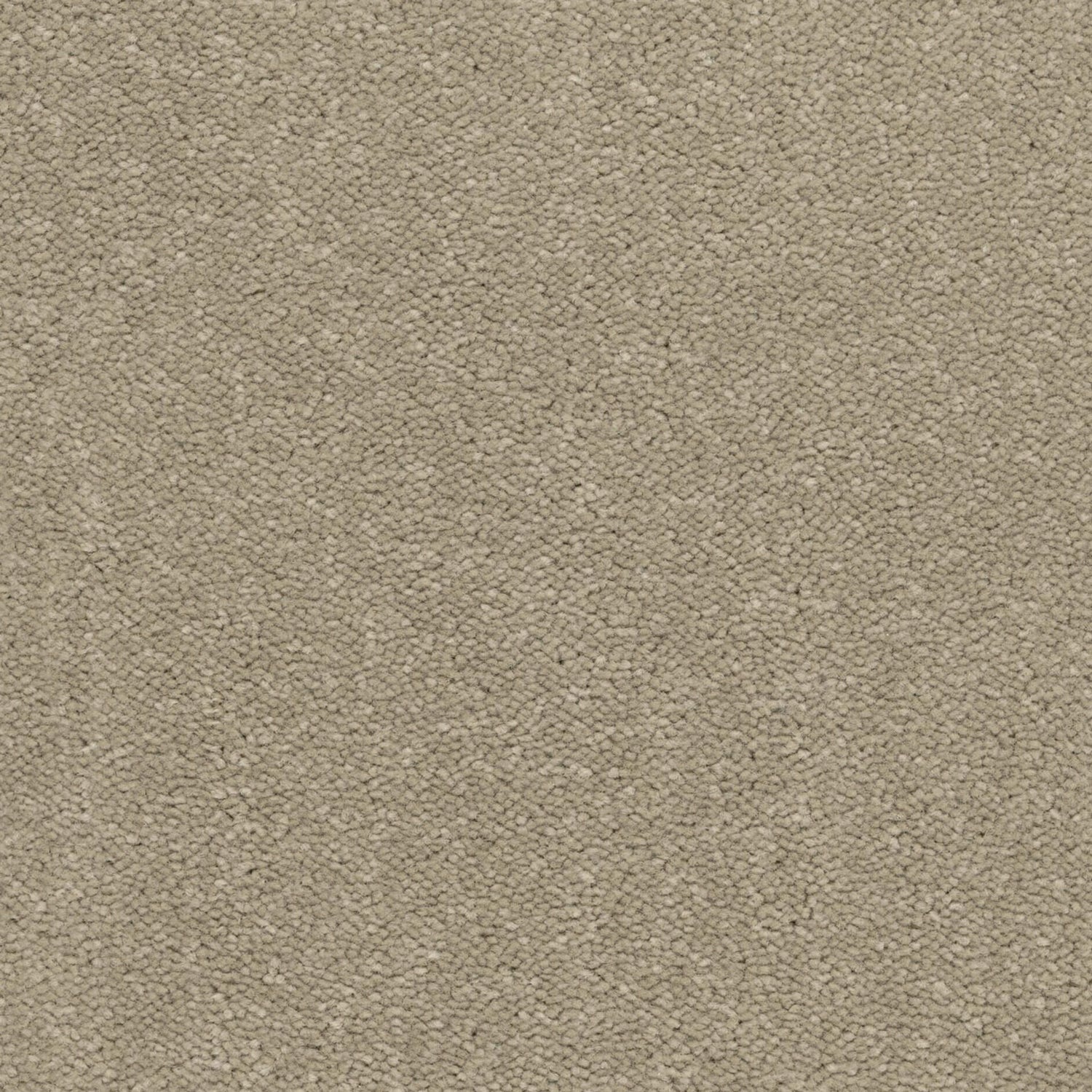 Kingsmead Tranquility (Silver) Twist Carpet