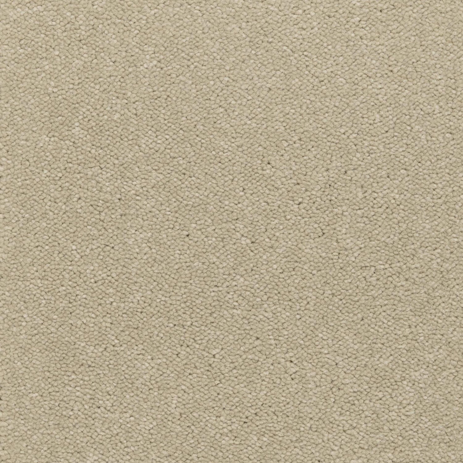 Kingsmead Tranquility (Silver) Twist Carpet