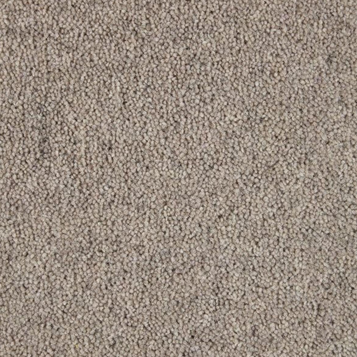 Kingsmead 40oz Weald Park Platinum 80% Wool Blend Twist Carpet