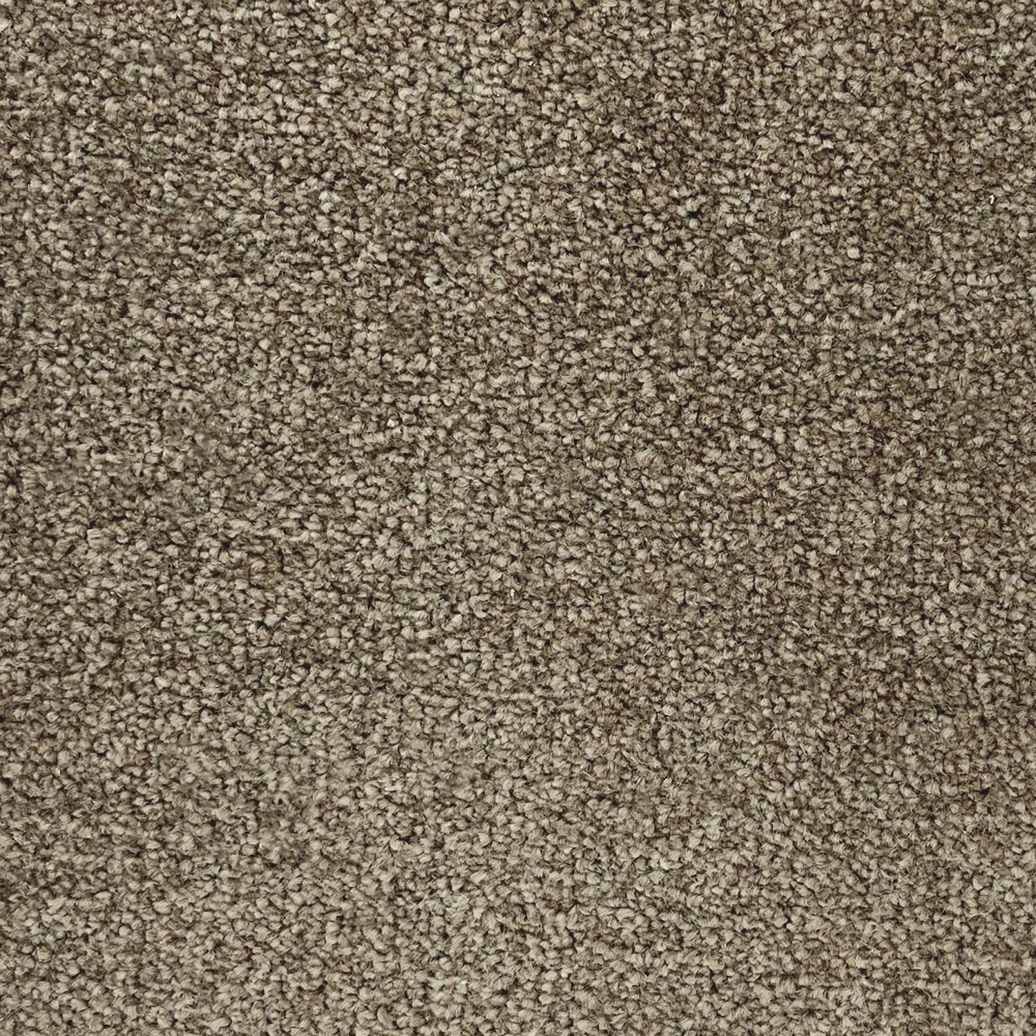 Lifestyle Floors Banquet Twist Carpet