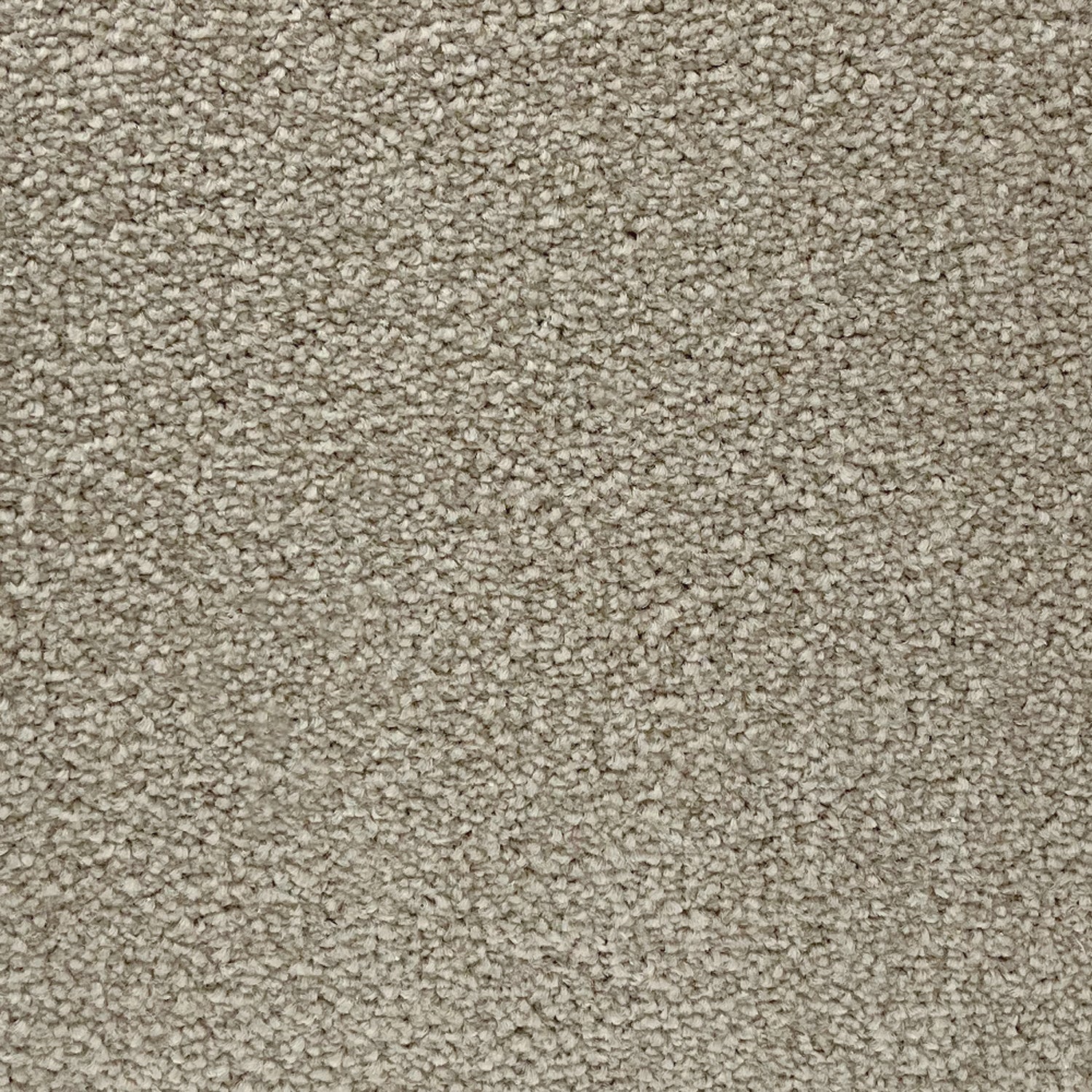 Lifestyle Floors Banquet Twist Carpet