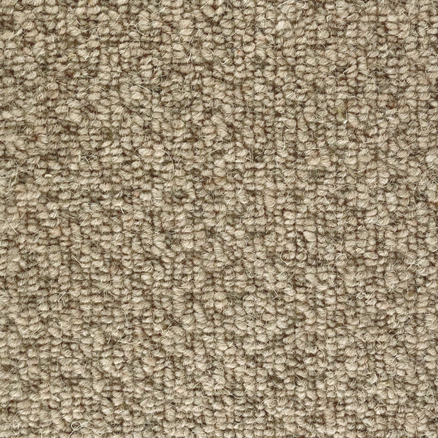 CFS Marlborough Weave 100% Wool Loop Carpet