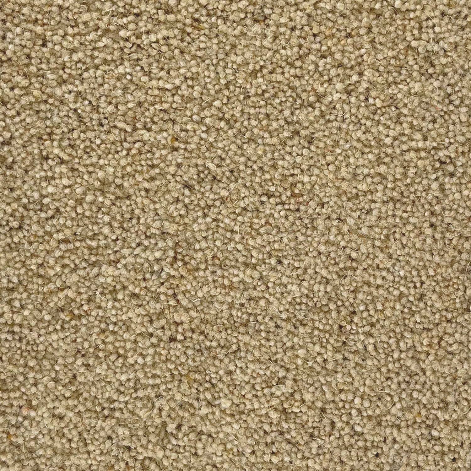 Penthouse Carpets 36oz Carlton 80% Wool Blend Twist Pile Carpet