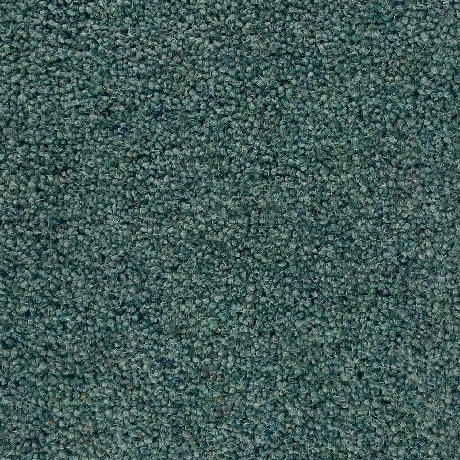 Penthouse Carpets 42oz Carlton 80% Wool Blend Twist Pile Carpet