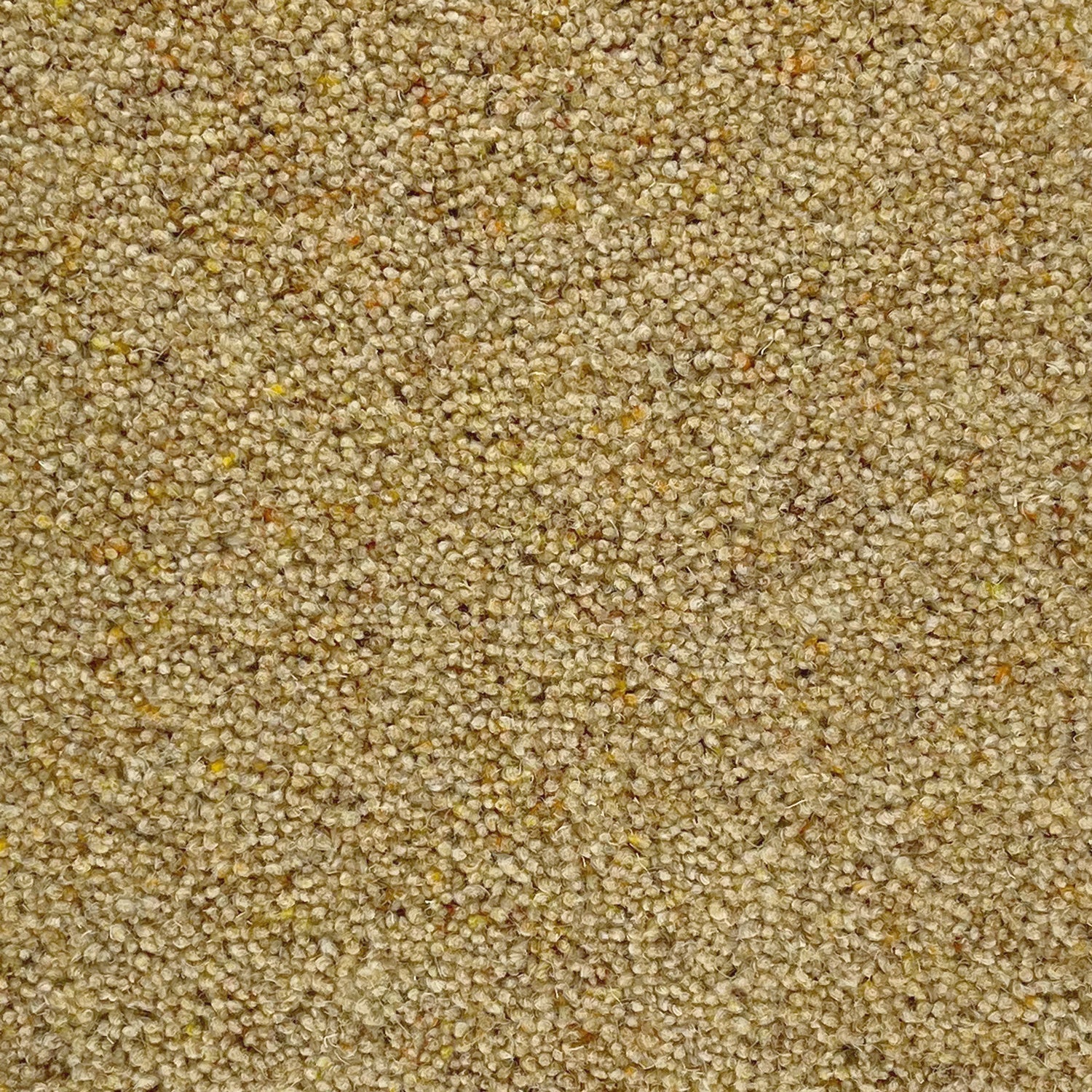 Penthouse Carpets 36oz Carlton 80% Wool Blend Twist Pile Carpet