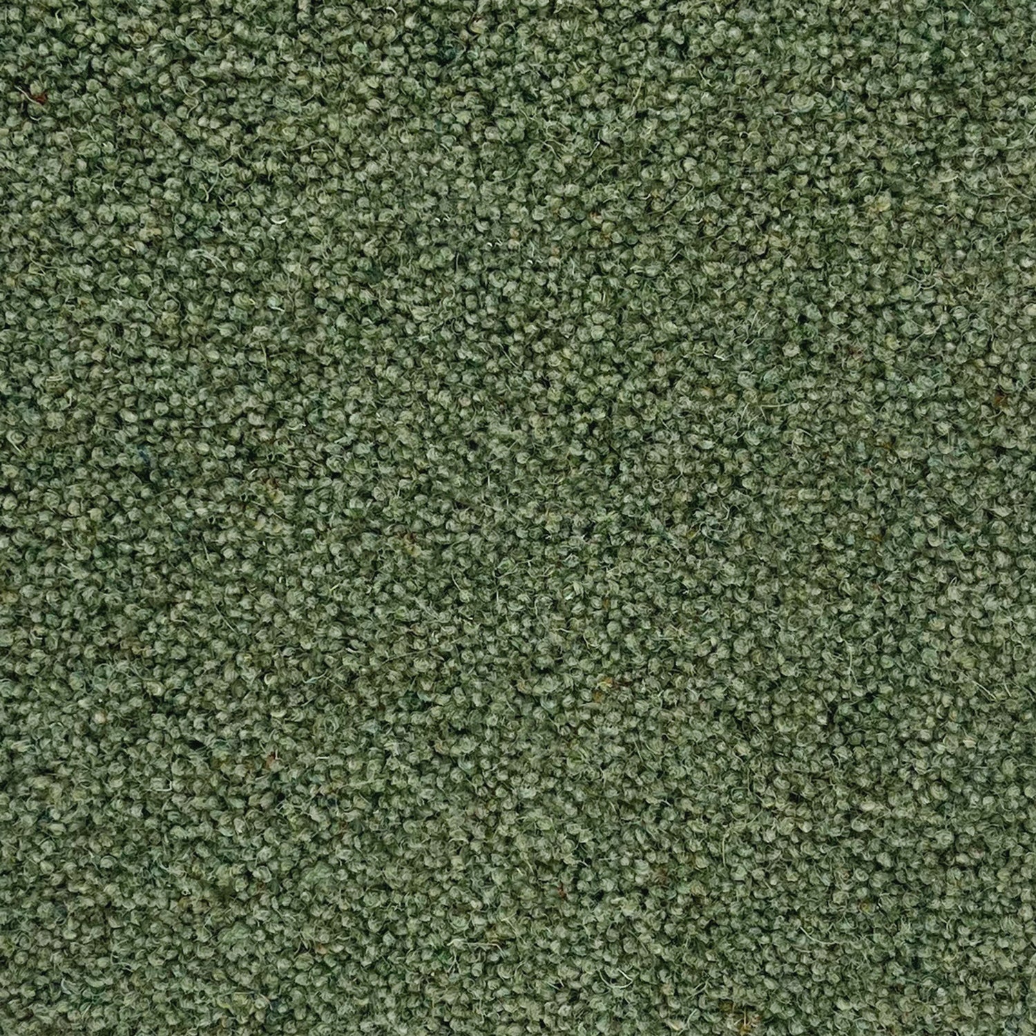 Penthouse Carpets 36oz Carlton 80% Wool Blend Twist Pile Carpet