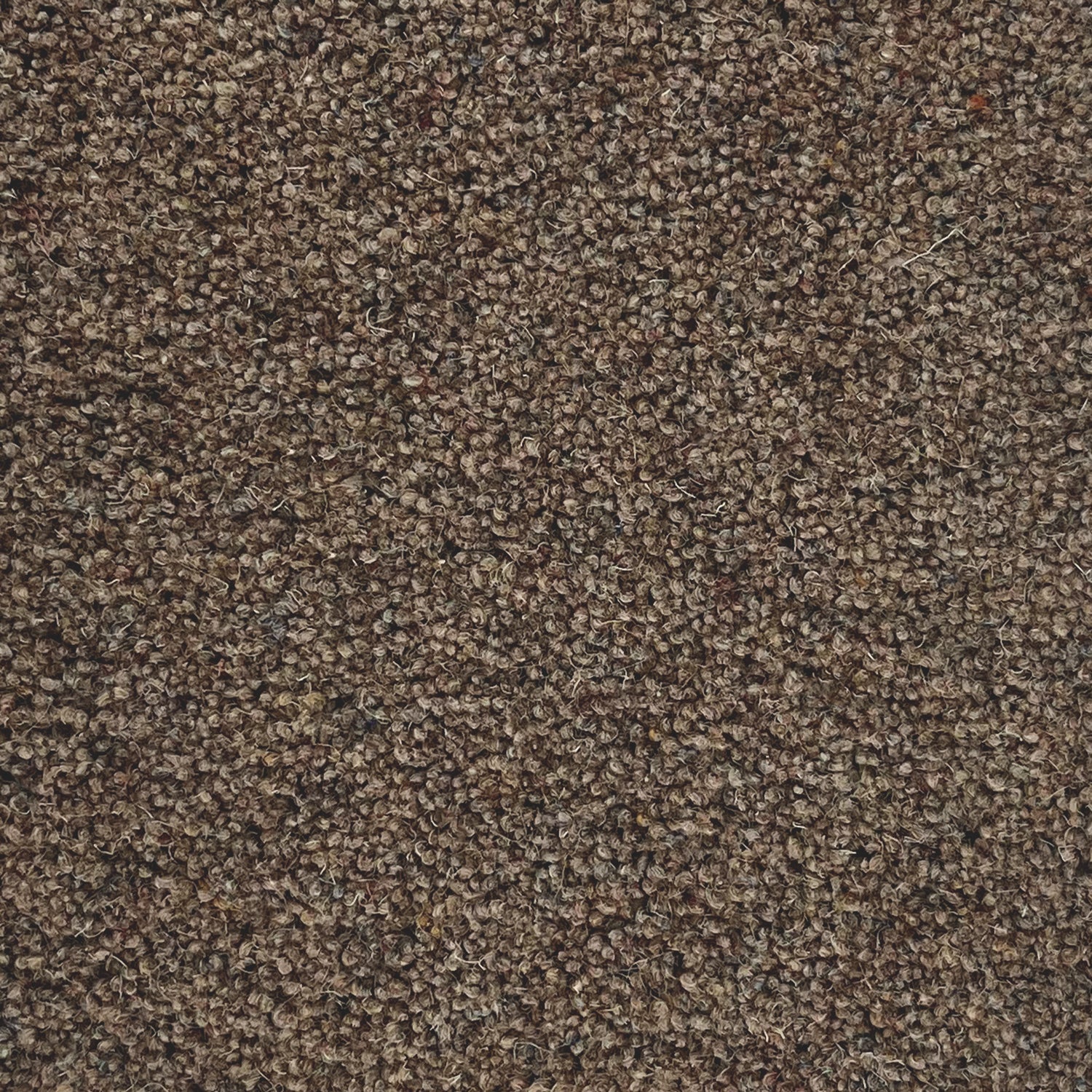 Penthouse Carpets 42oz Carlton 80% Wool Blend Twist Pile Carpet