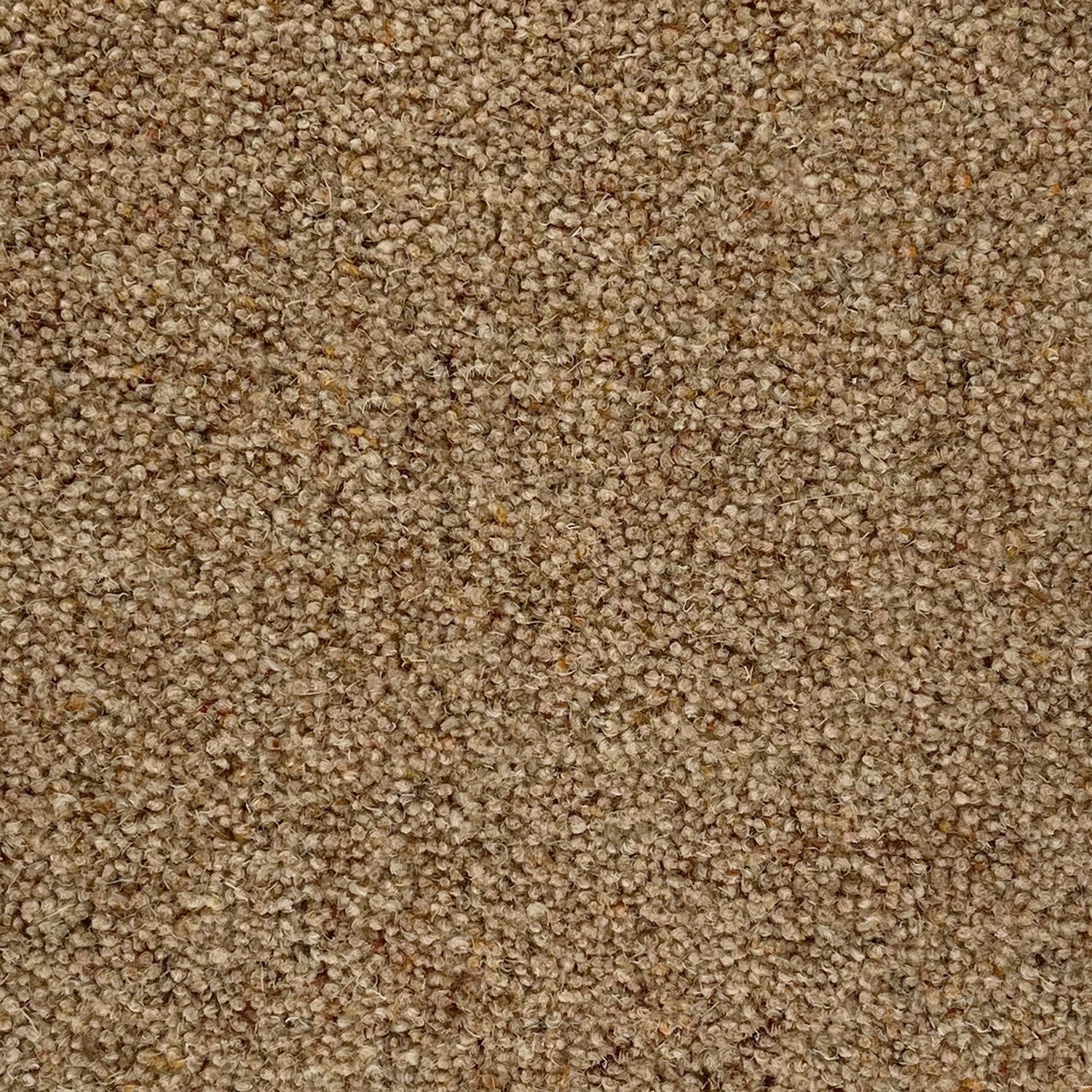 Penthouse Carpets 36oz Carlton 80% Wool Blend Twist Pile Carpet