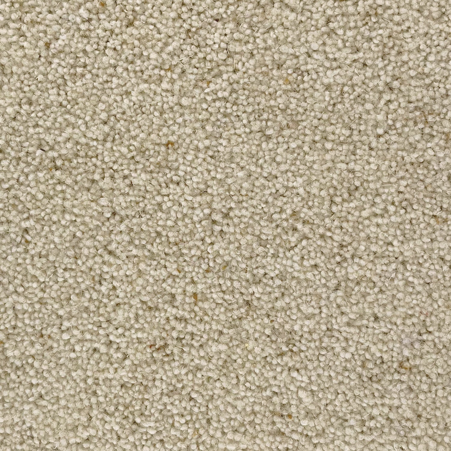 Penthouse Carpets 42oz Carlton 80% Wool Blend Twist Pile Carpet