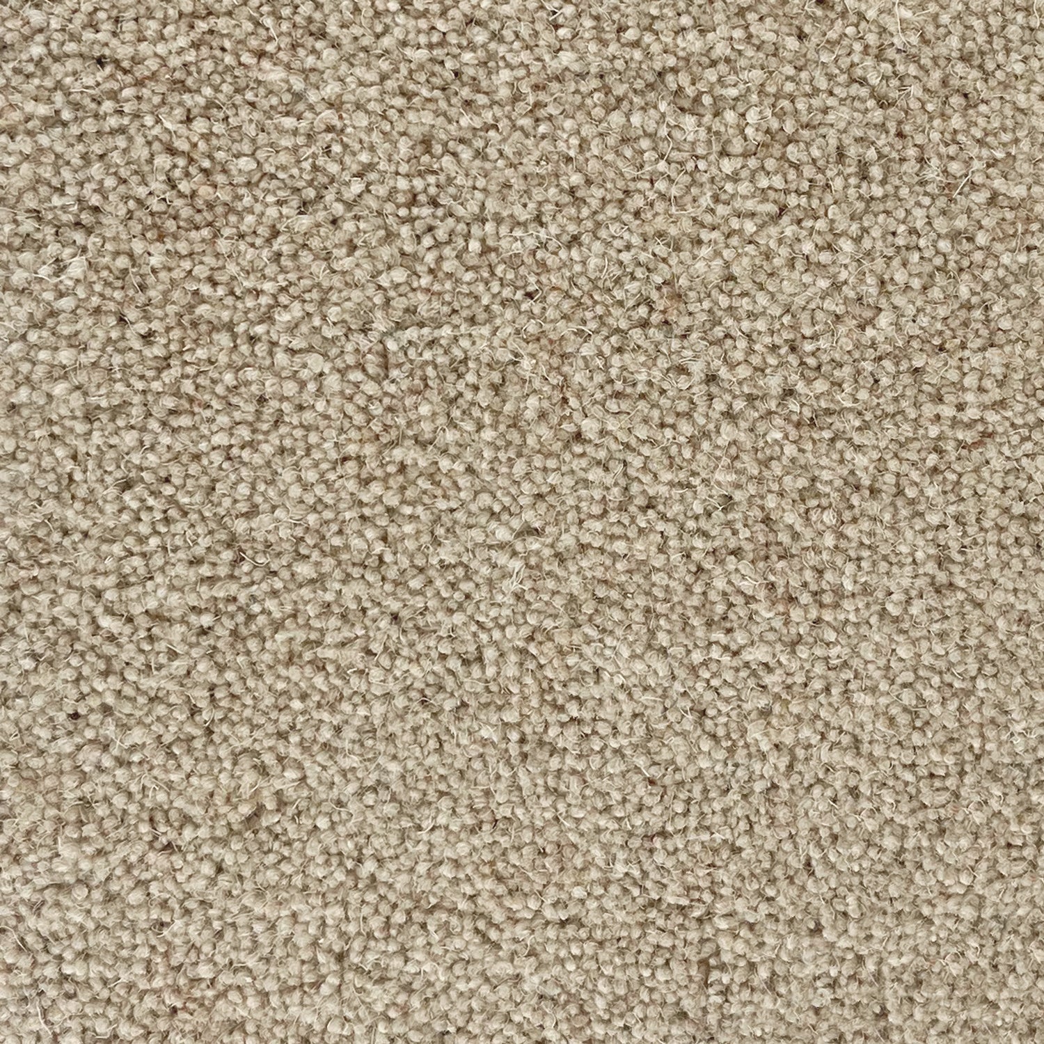 Penthouse Carpets 36oz Carlton 80% Wool Blend Twist Pile Carpet