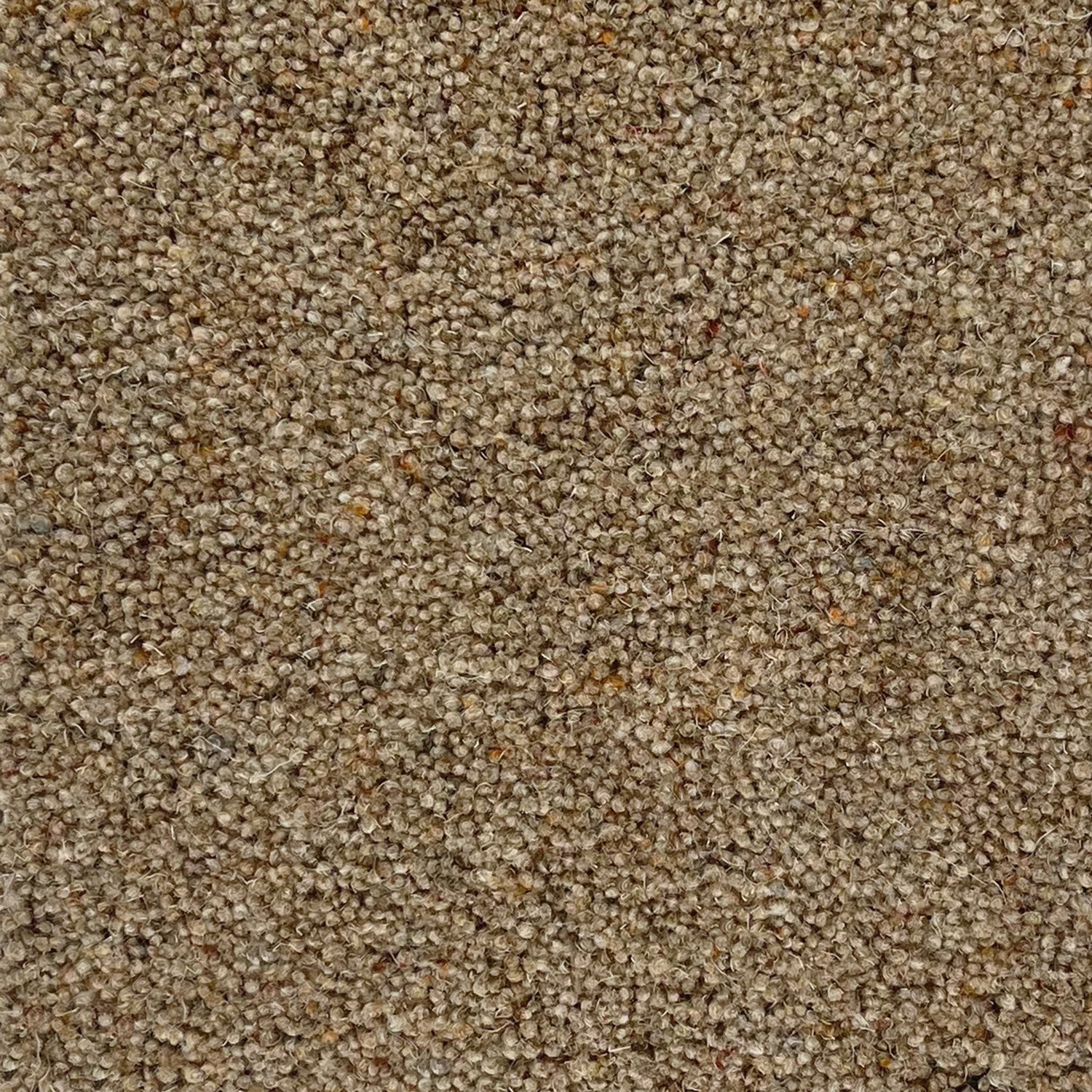 Penthouse Carpets 36oz Carlton 80% Wool Blend Twist Pile Carpet