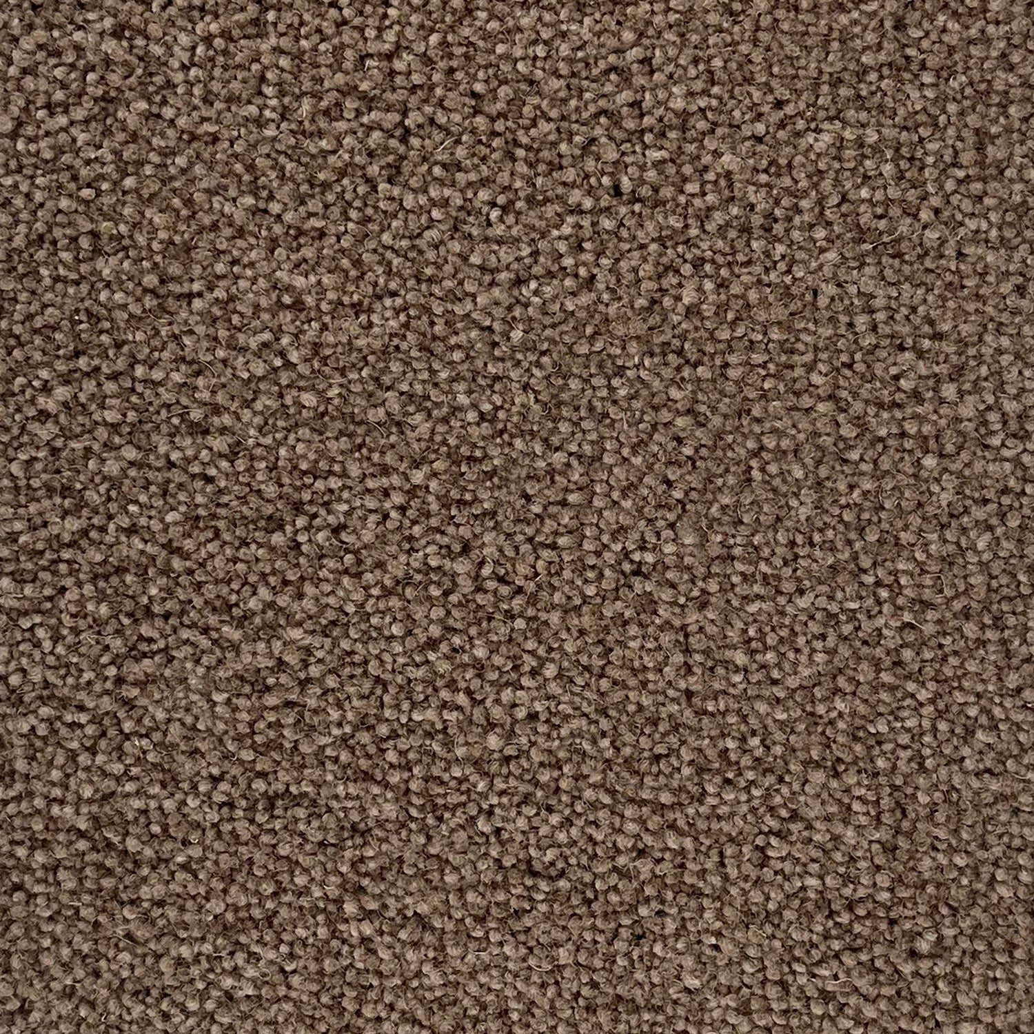 Penthouse Carpets 45oz Colorado 80% Wool Blend Twist Pile Carpet