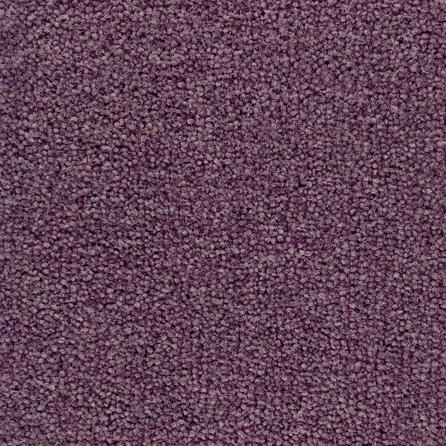 Penthouse Carpets 45oz Colorado 80% Wool Blend Twist Pile Carpet