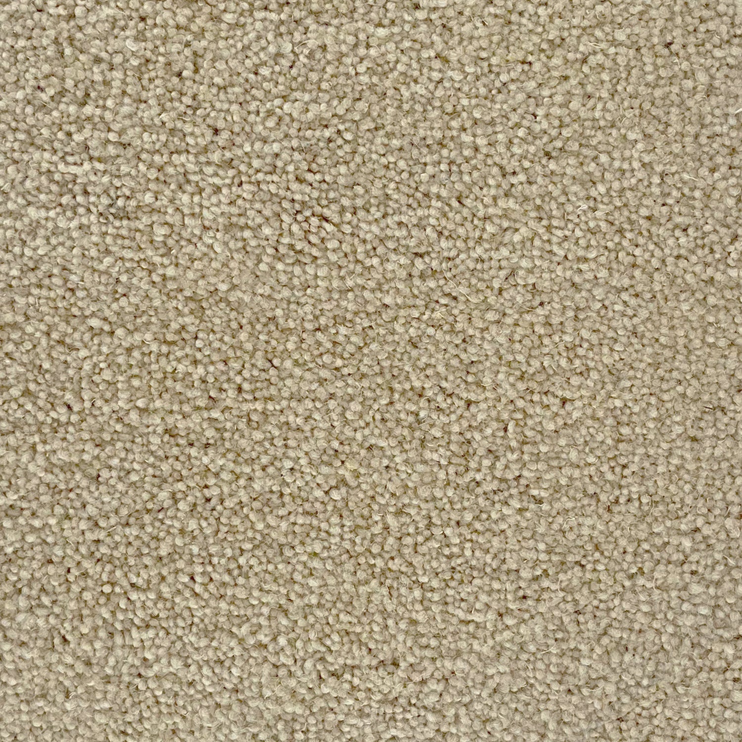 Penthouse Carpets 45oz Colorado 80% Wool Blend Twist Pile Carpet