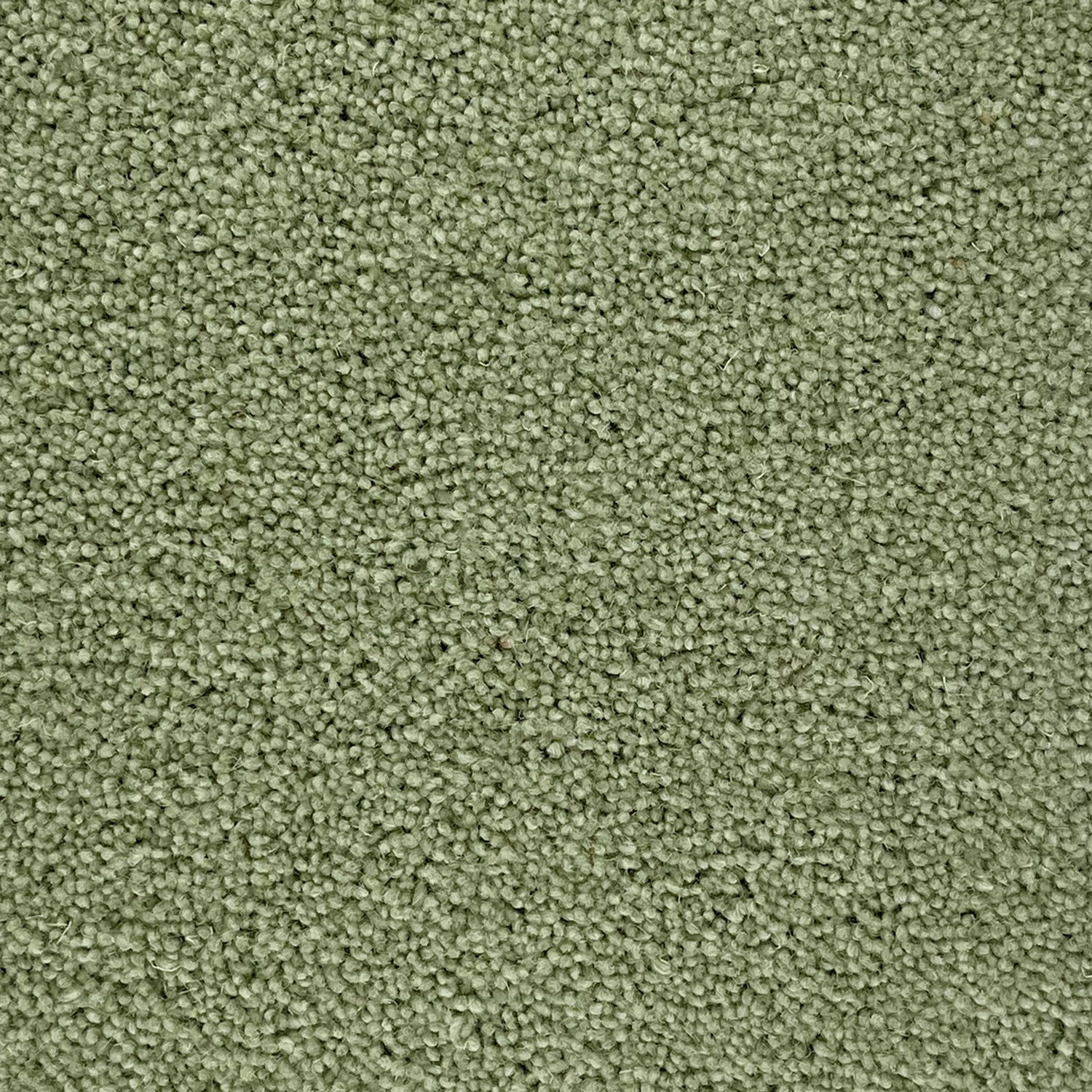 Penthouse Carpets 45oz Colorado 80% Wool Blend Twist Pile Carpet