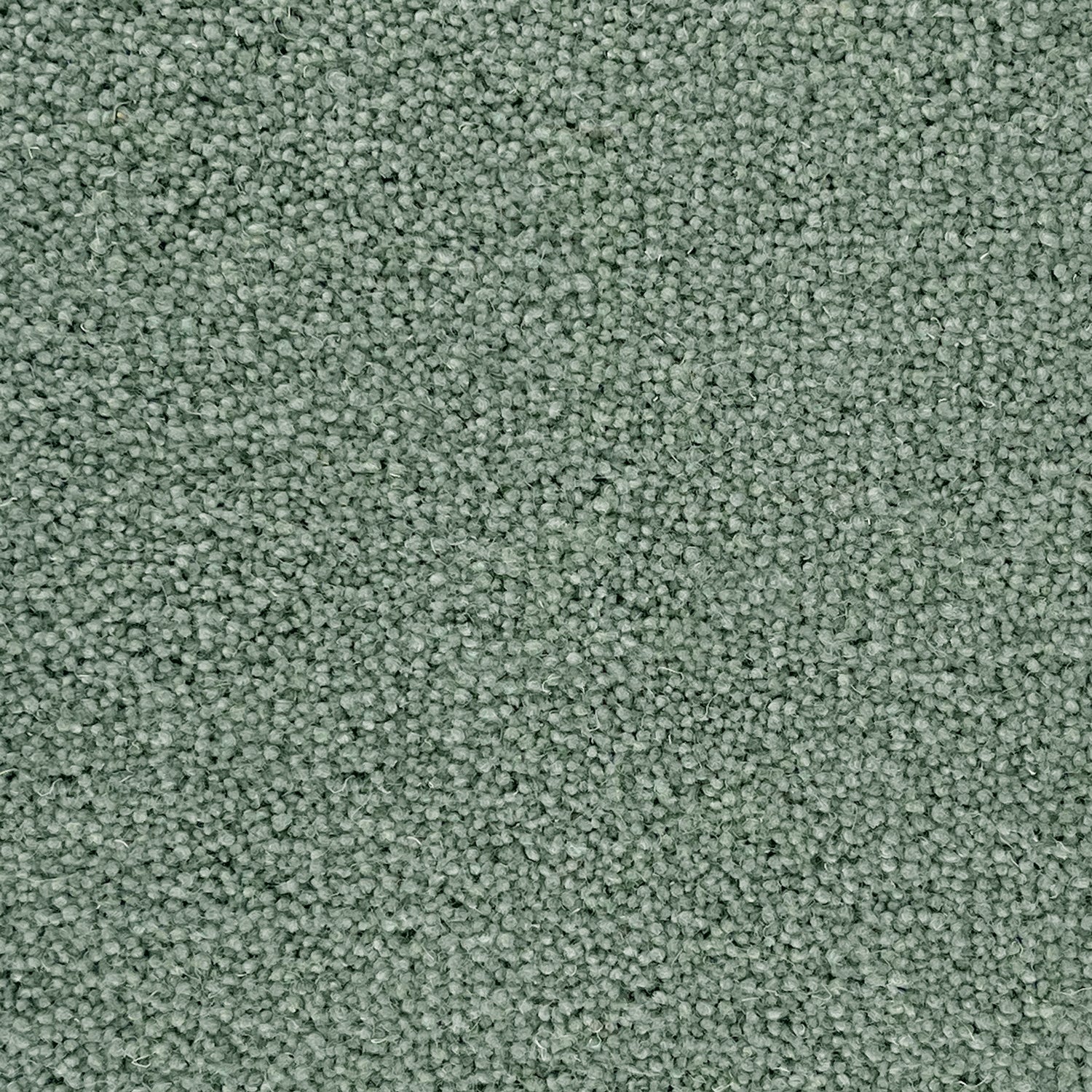 Penthouse Carpets 45oz Colorado 80% Wool Blend Twist Pile Carpet