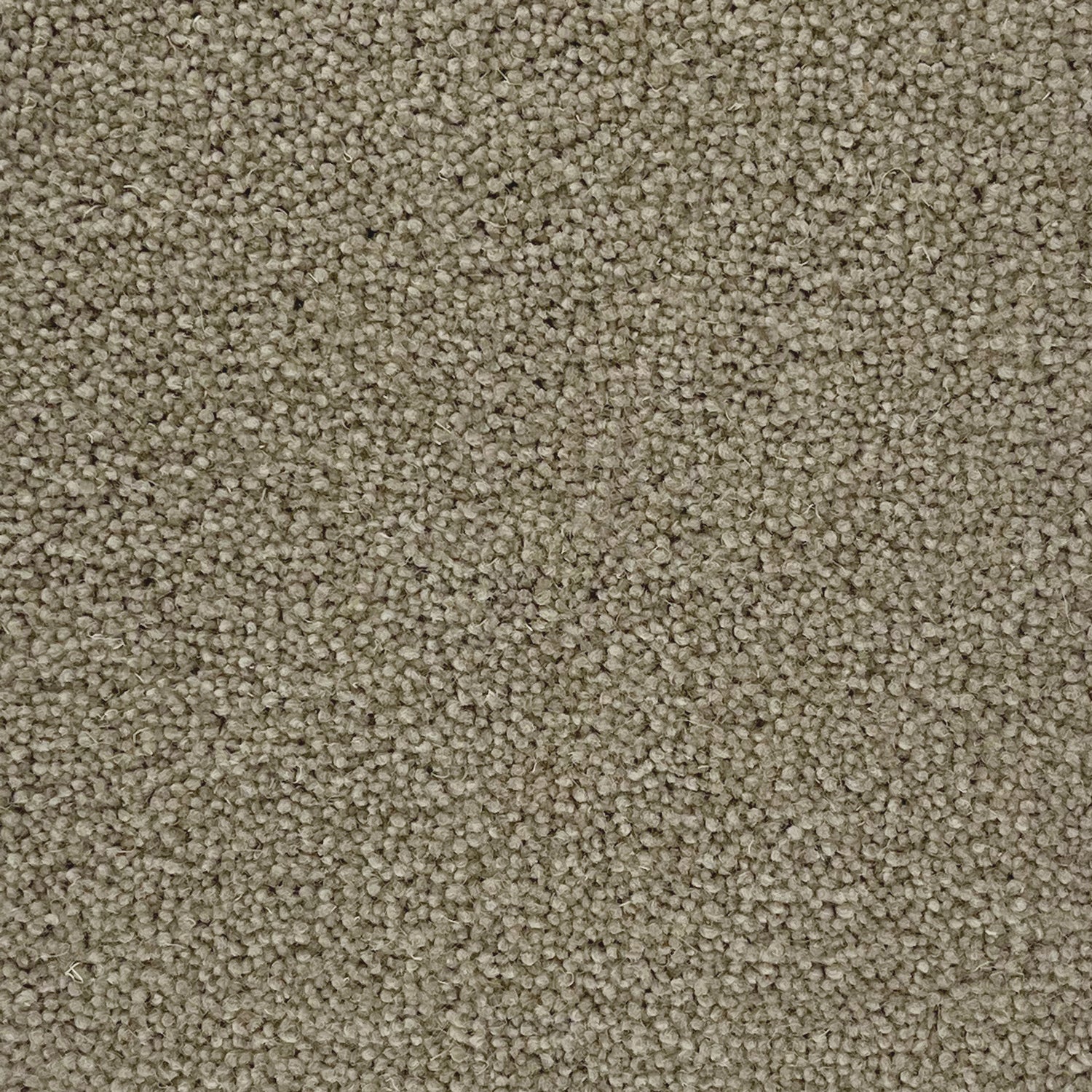 Penthouse Carpets 45oz Colorado 80% Wool Blend Twist Pile Carpet