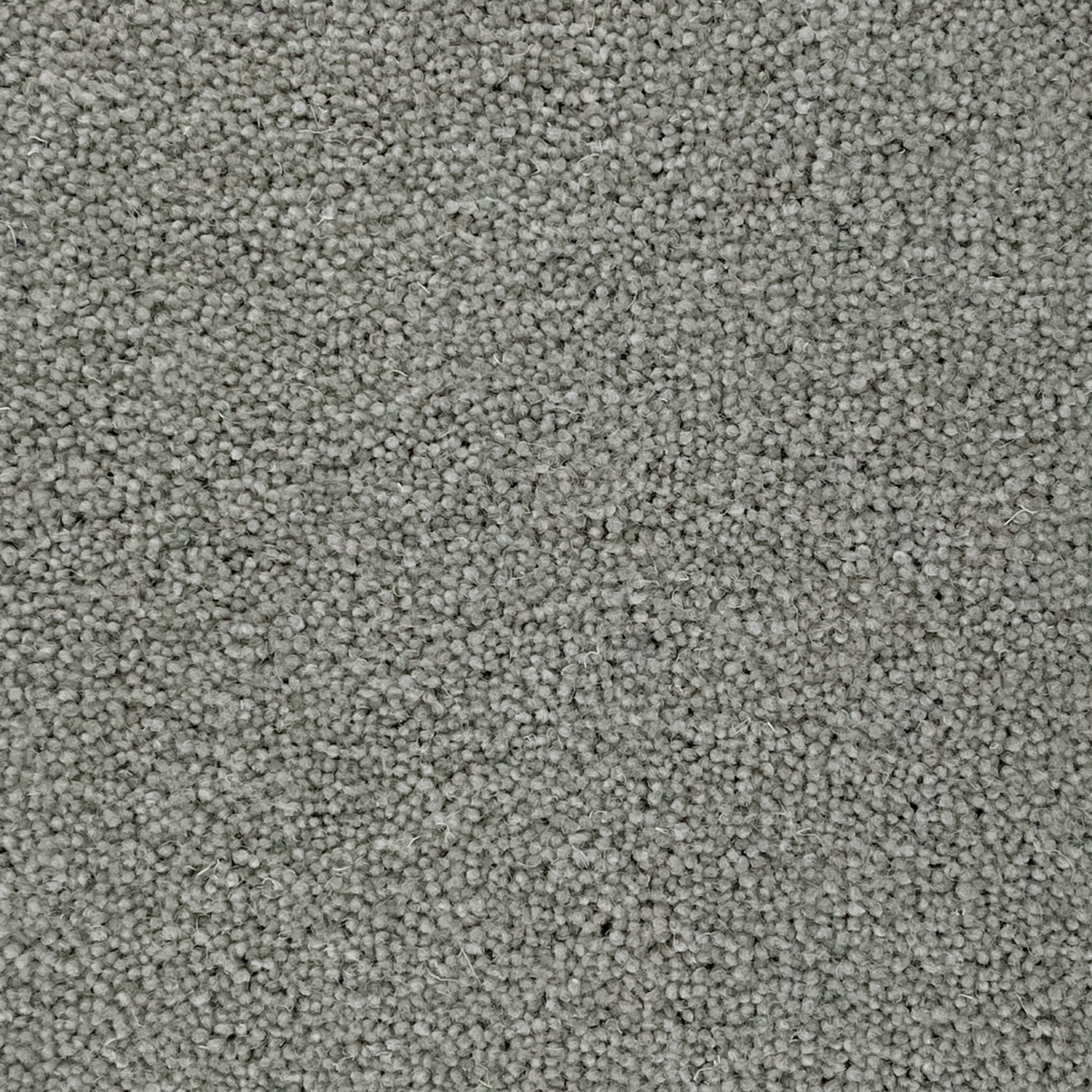 Penthouse Carpets 45oz Colorado 80% Wool Blend Twist Pile Carpet