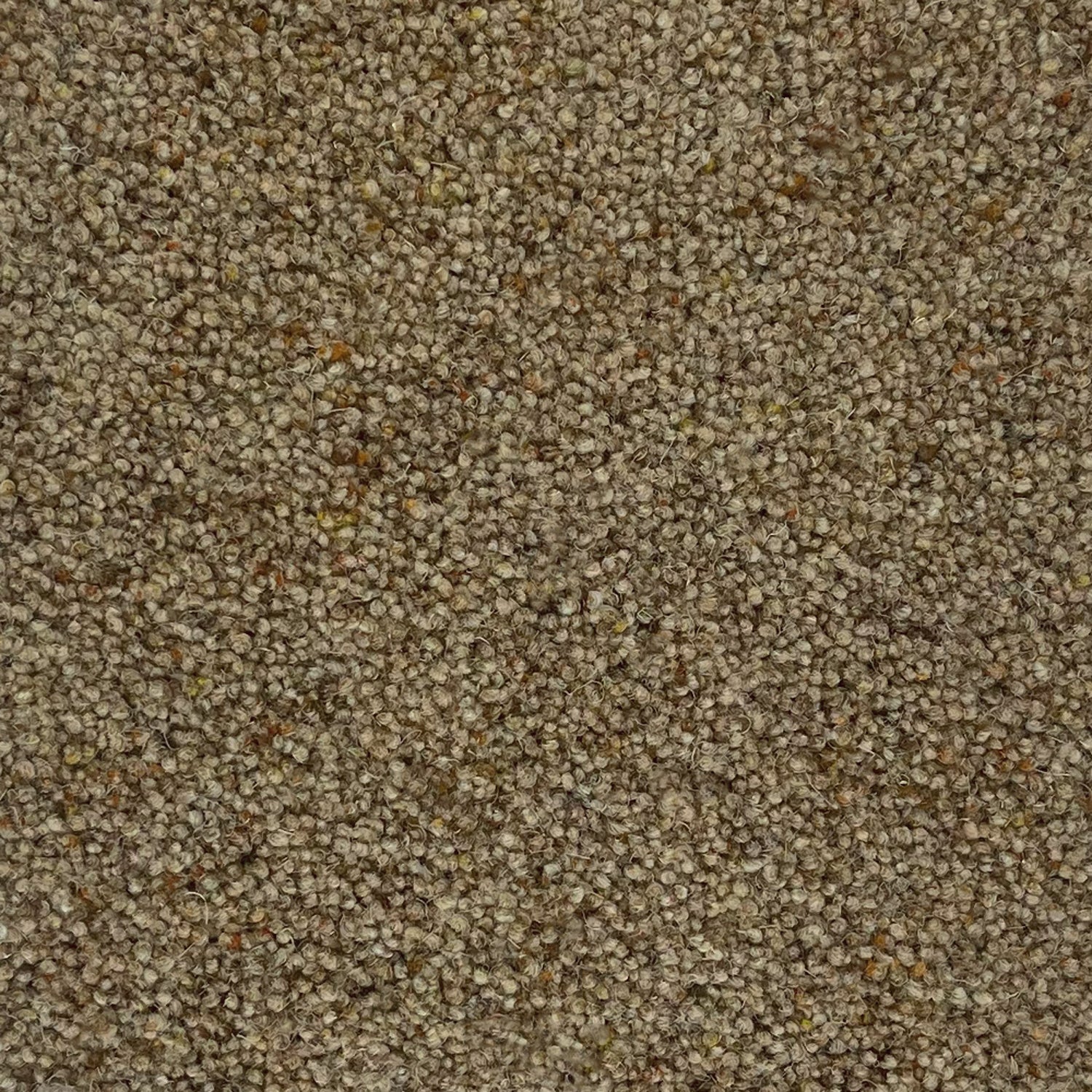 Penthouse Carpets 50oz Crofter 80% Wool Blend Twist Carpet